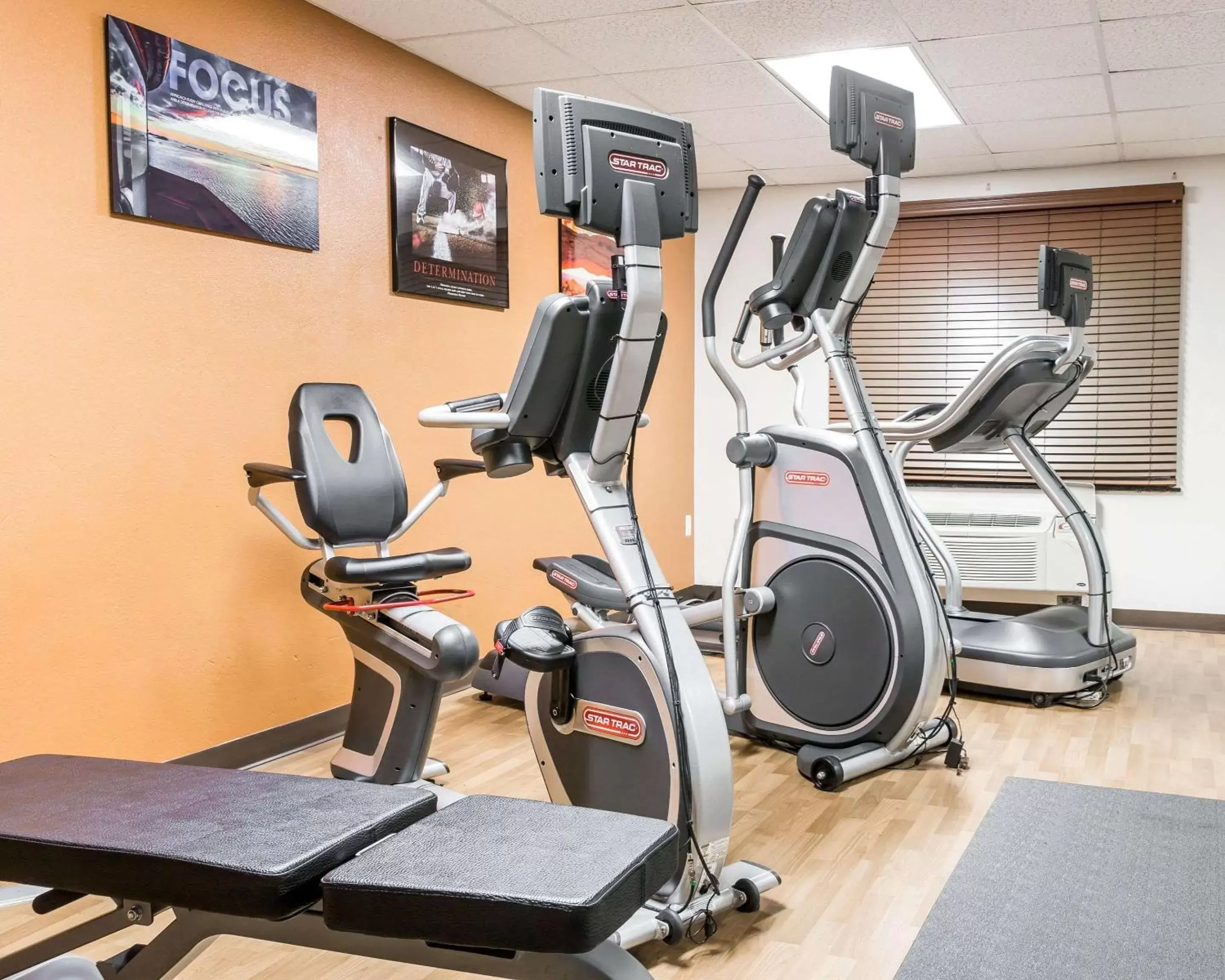 Fitness centre/facilities, Fitness Center/Facilities in Comfort Inn Metro Airport Romulus