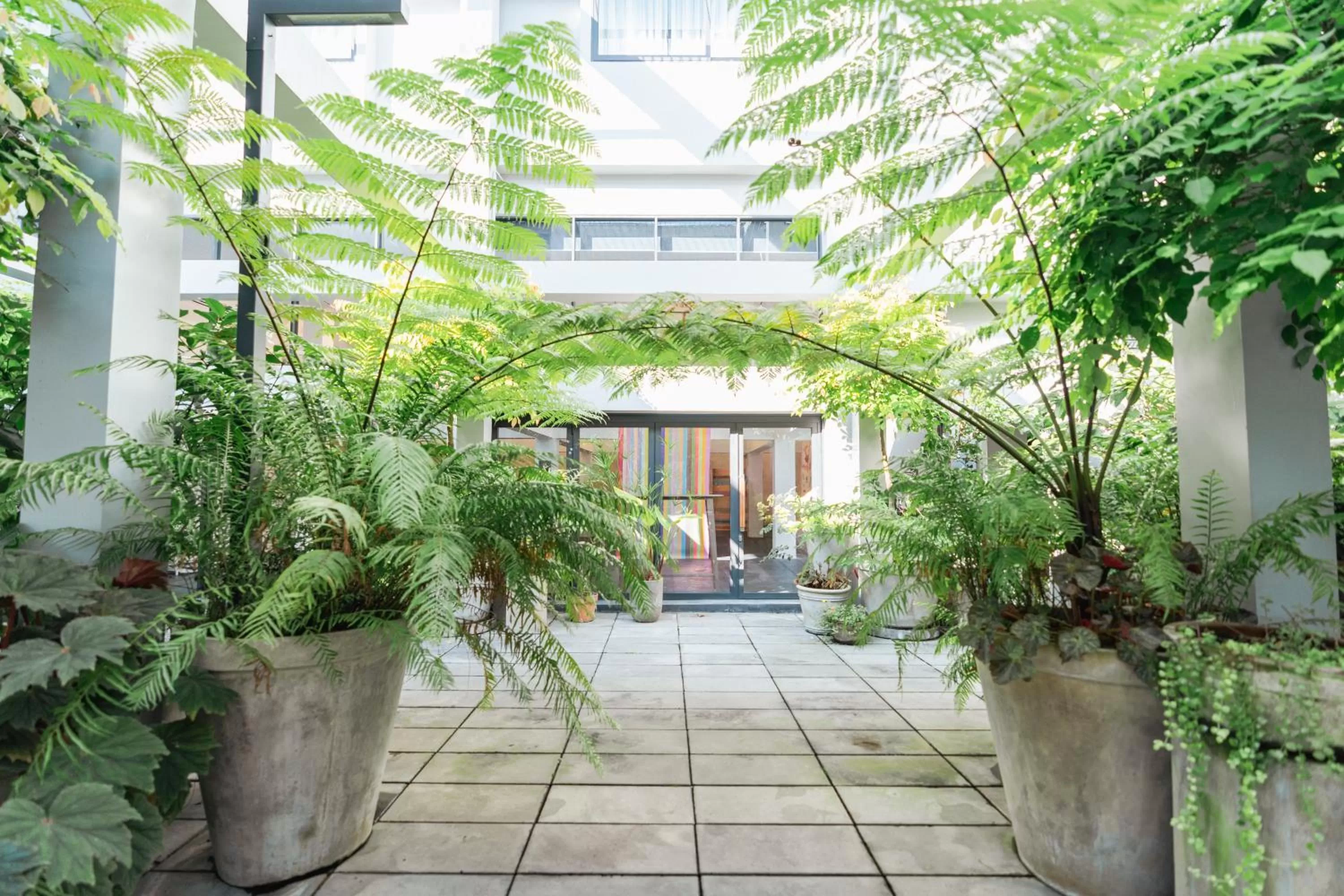 Garden in QUU HOTEL Chiang Mai