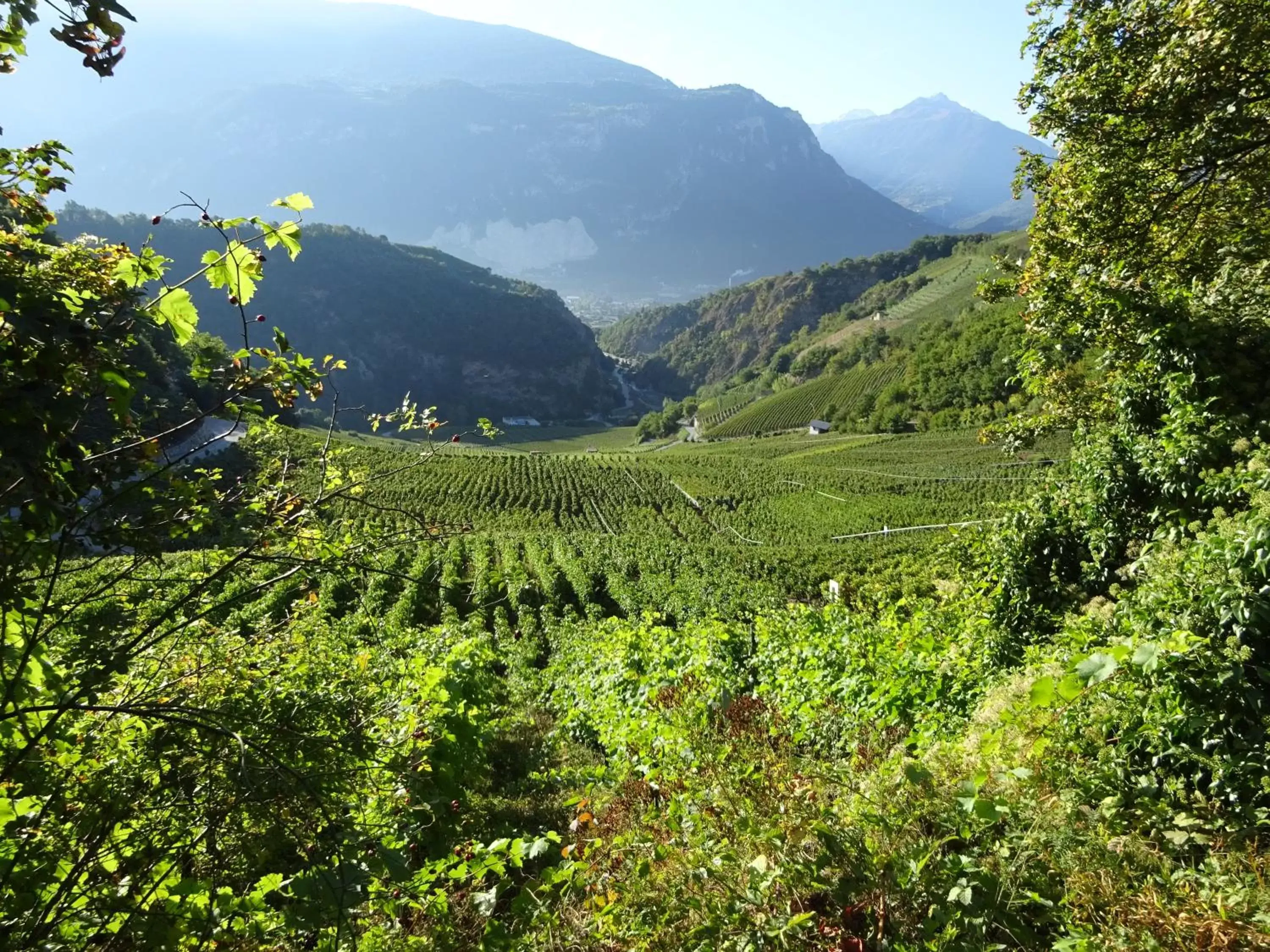 Natural Landscape in la grange à Caroline