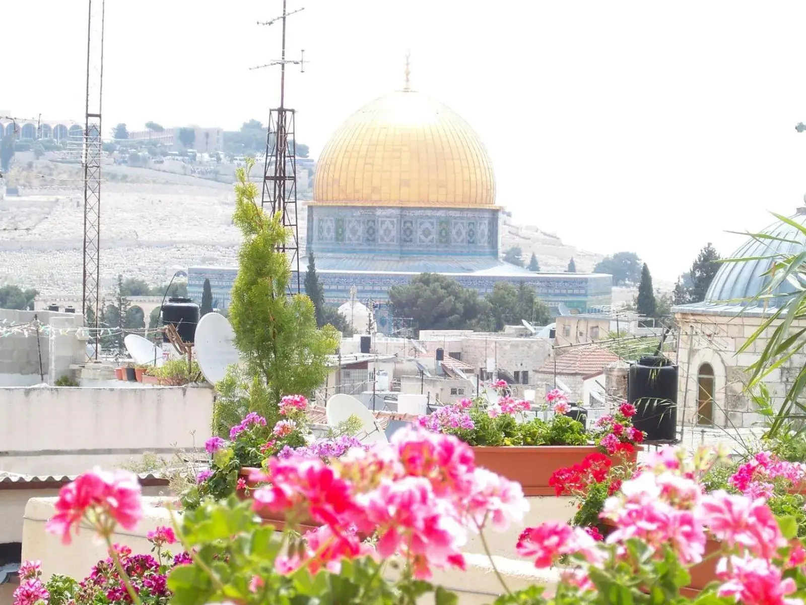 View (from property/room) in Hashimi Hotel