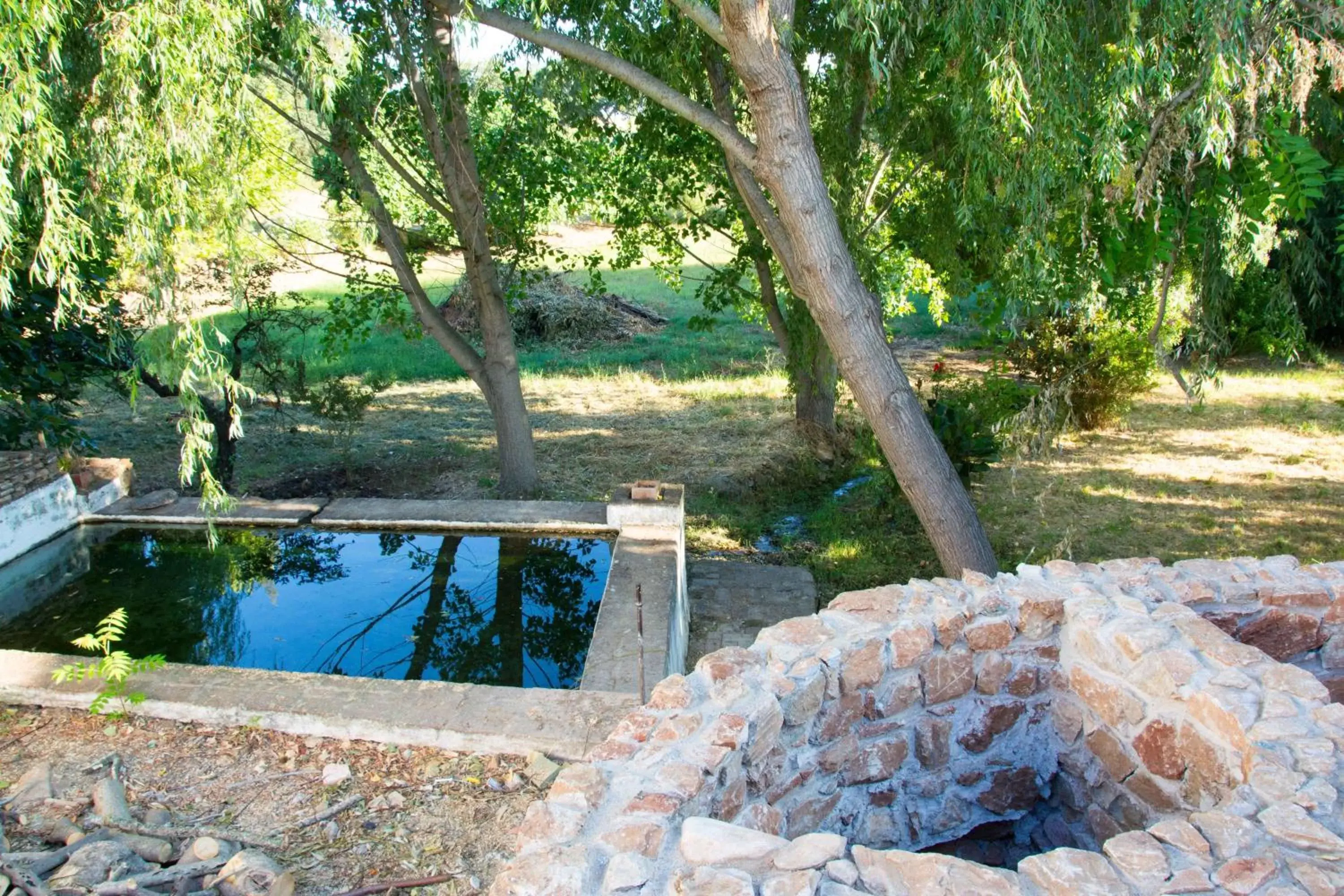 Facade/entrance, Swimming Pool in Hotel Rural Monte da Provença