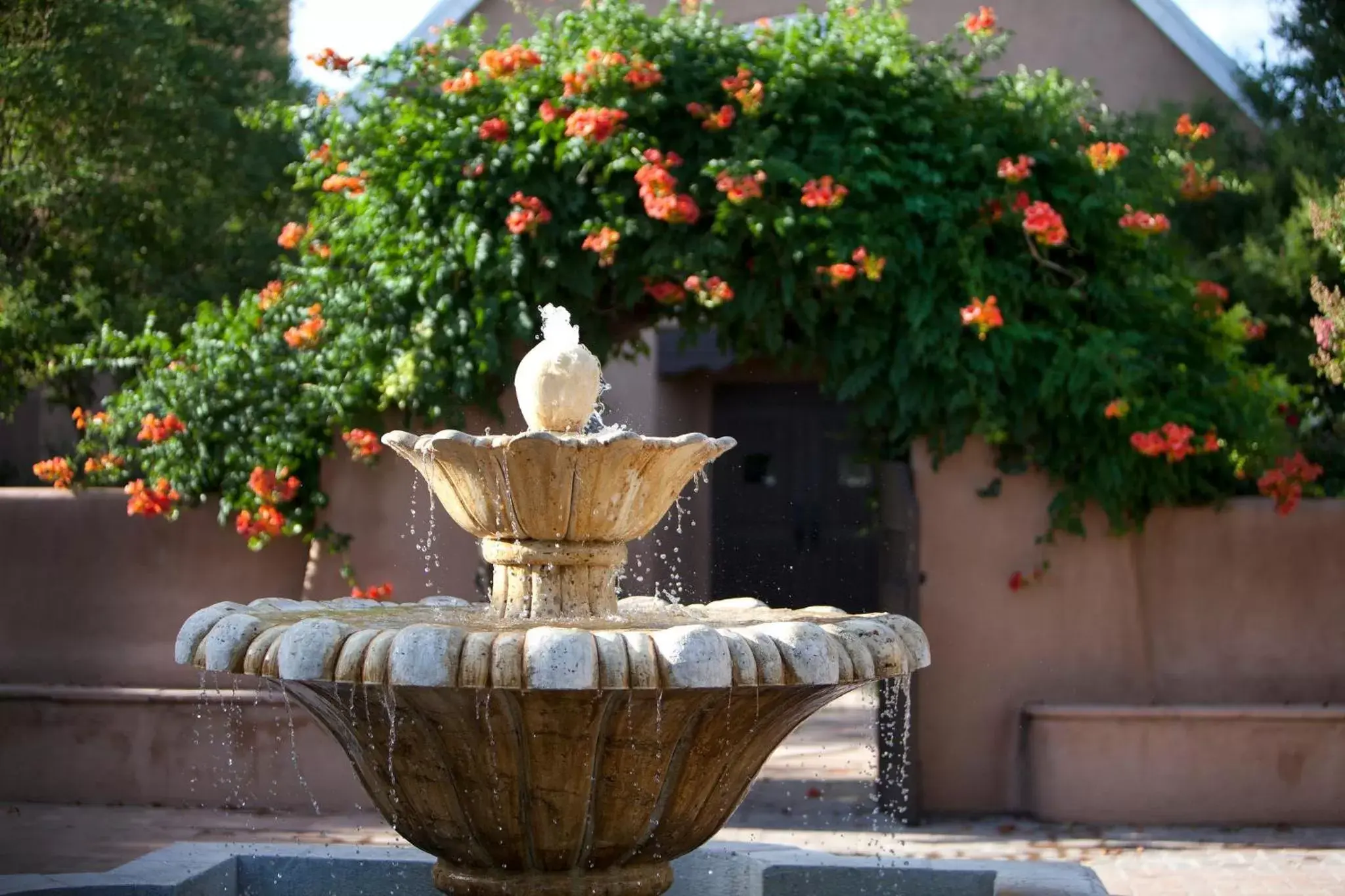 Garden in Hotel Albuquerque At Old Town