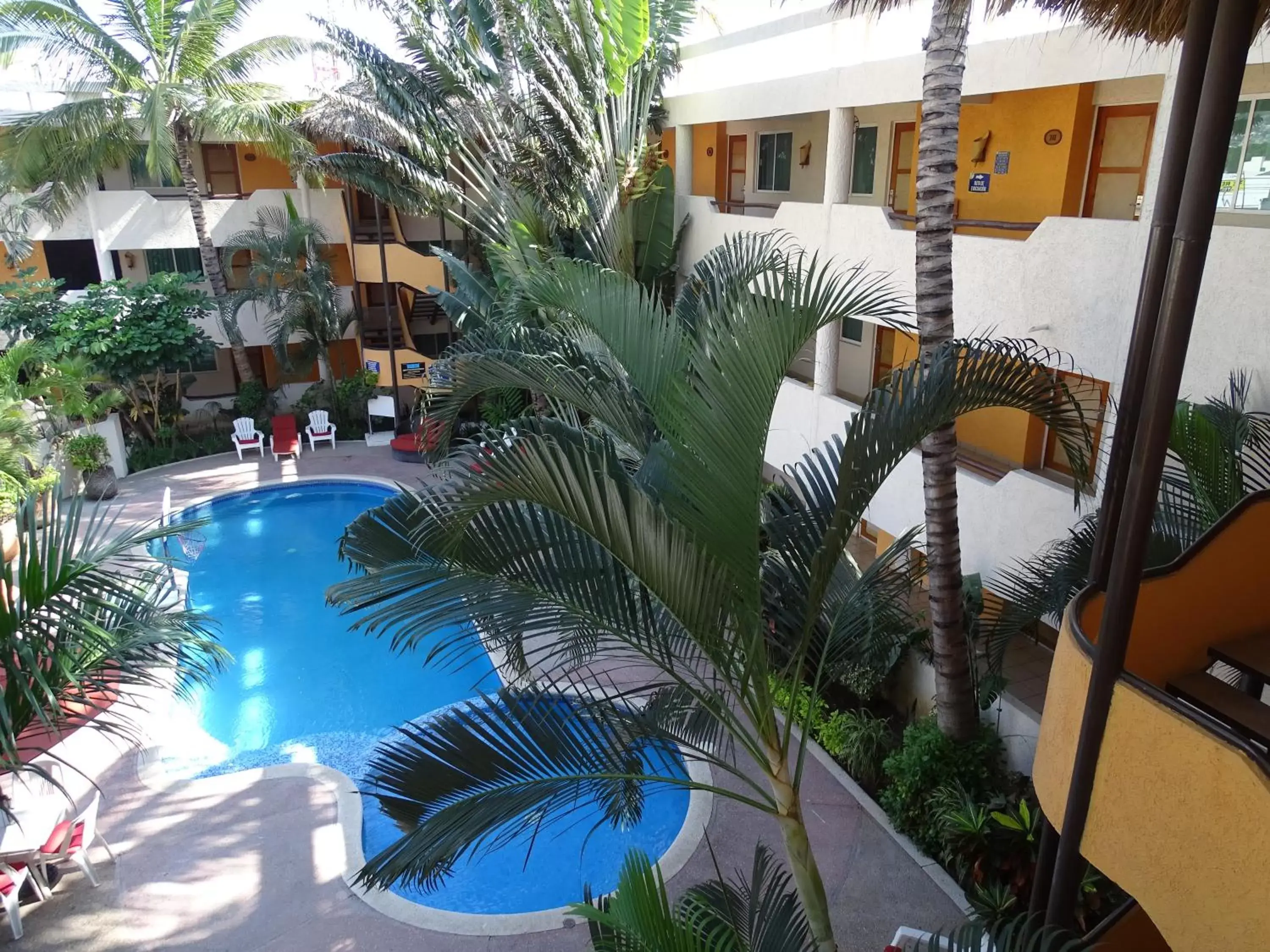 Pool View in Hotel Palapa Palace Inn