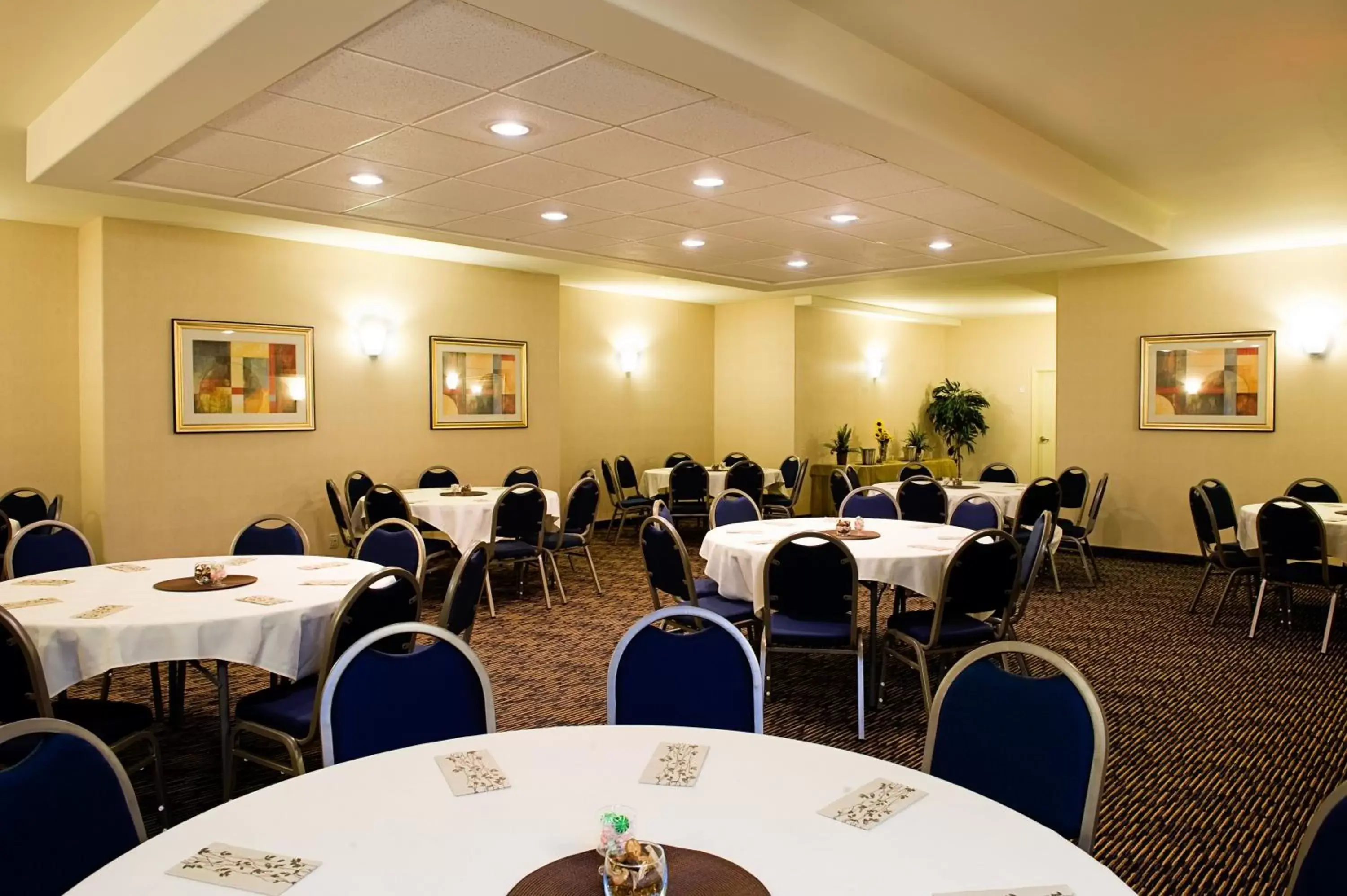 Meeting/conference room in Holiday Inn Express & Suites-Regina-South, an IHG Hotel