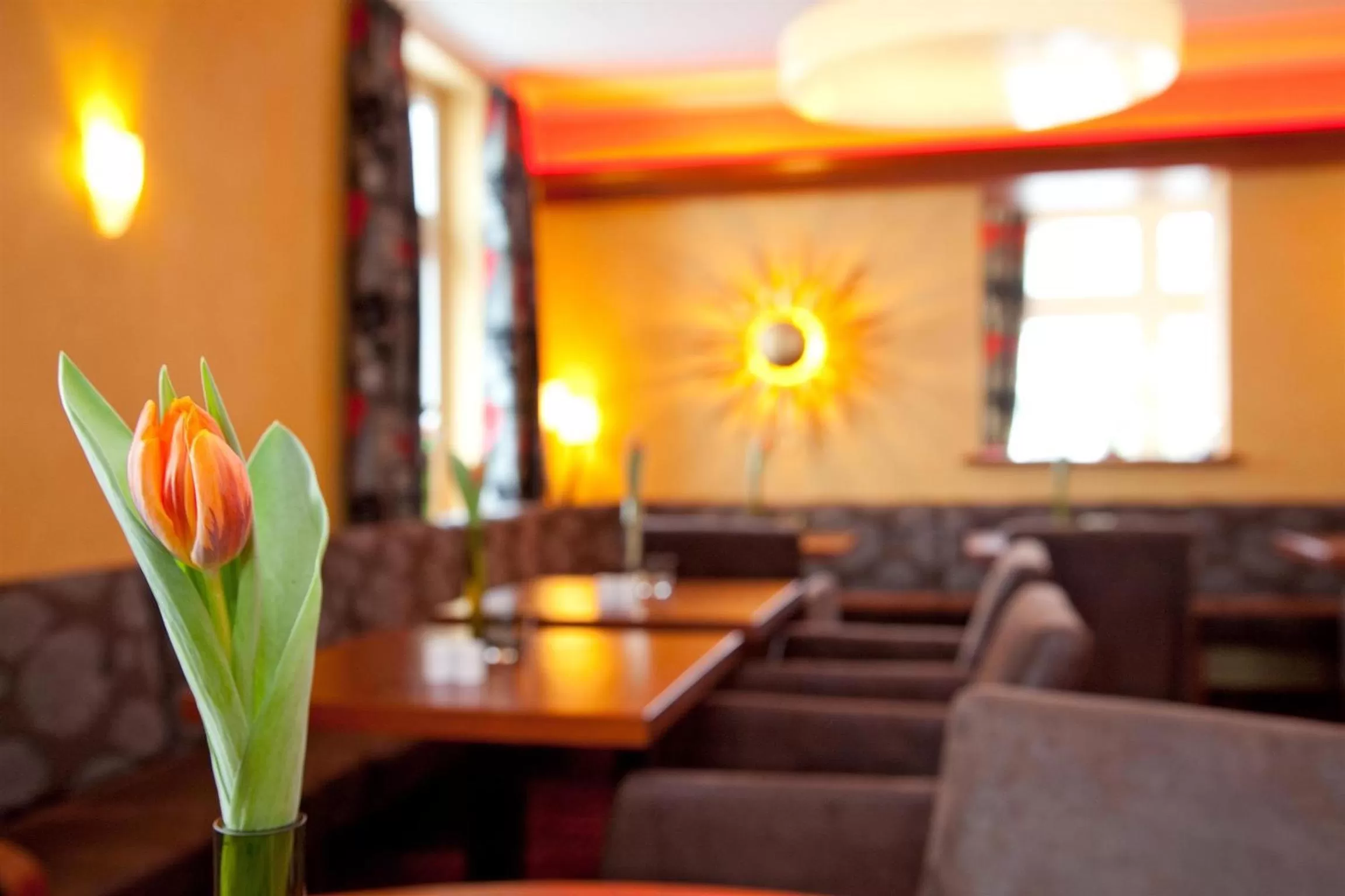 Restaurant/places to eat in Hotel Villa Neander