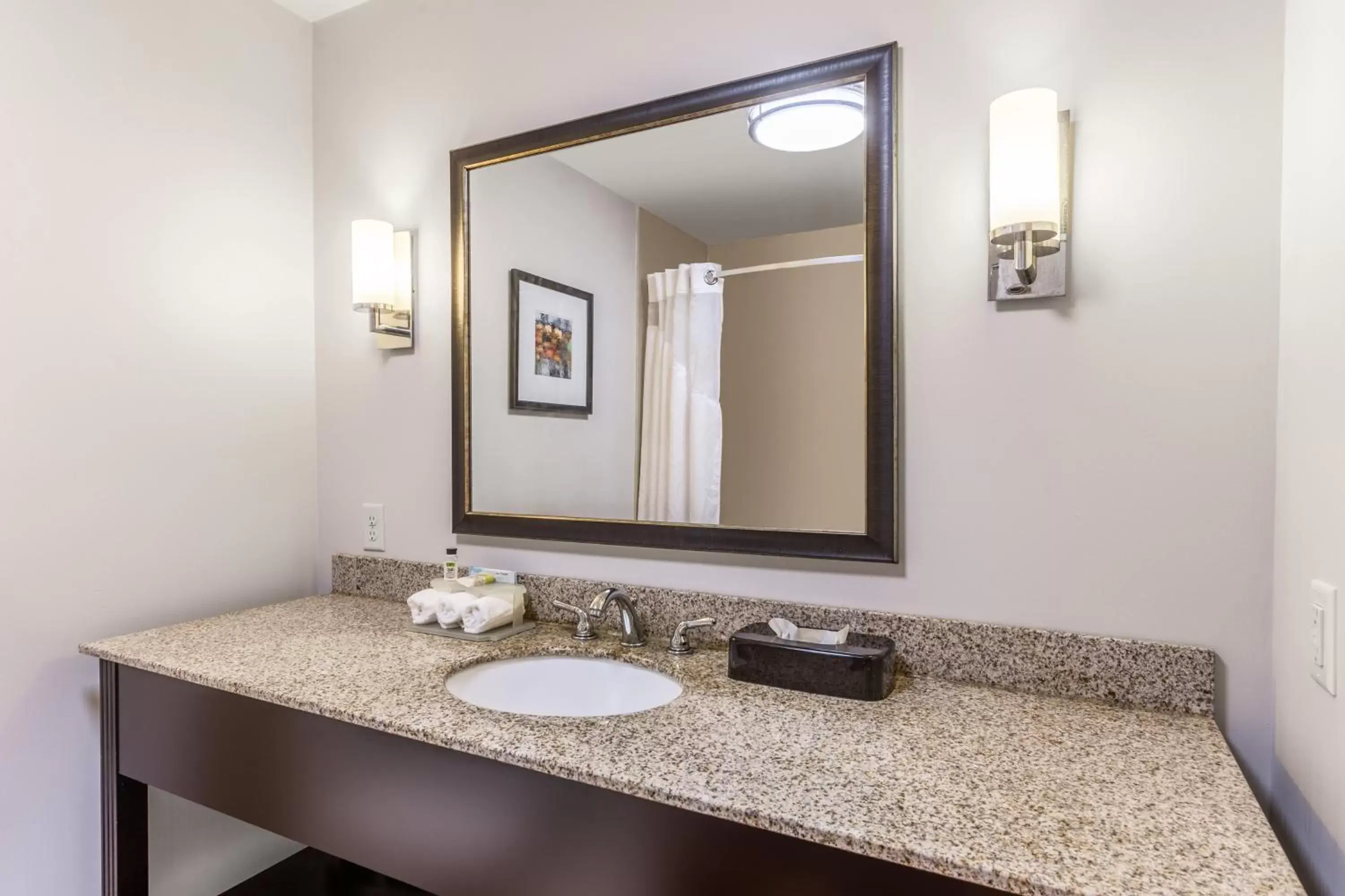 Bathroom in Holiday Inn Express - Albert Lea, an IHG Hotel