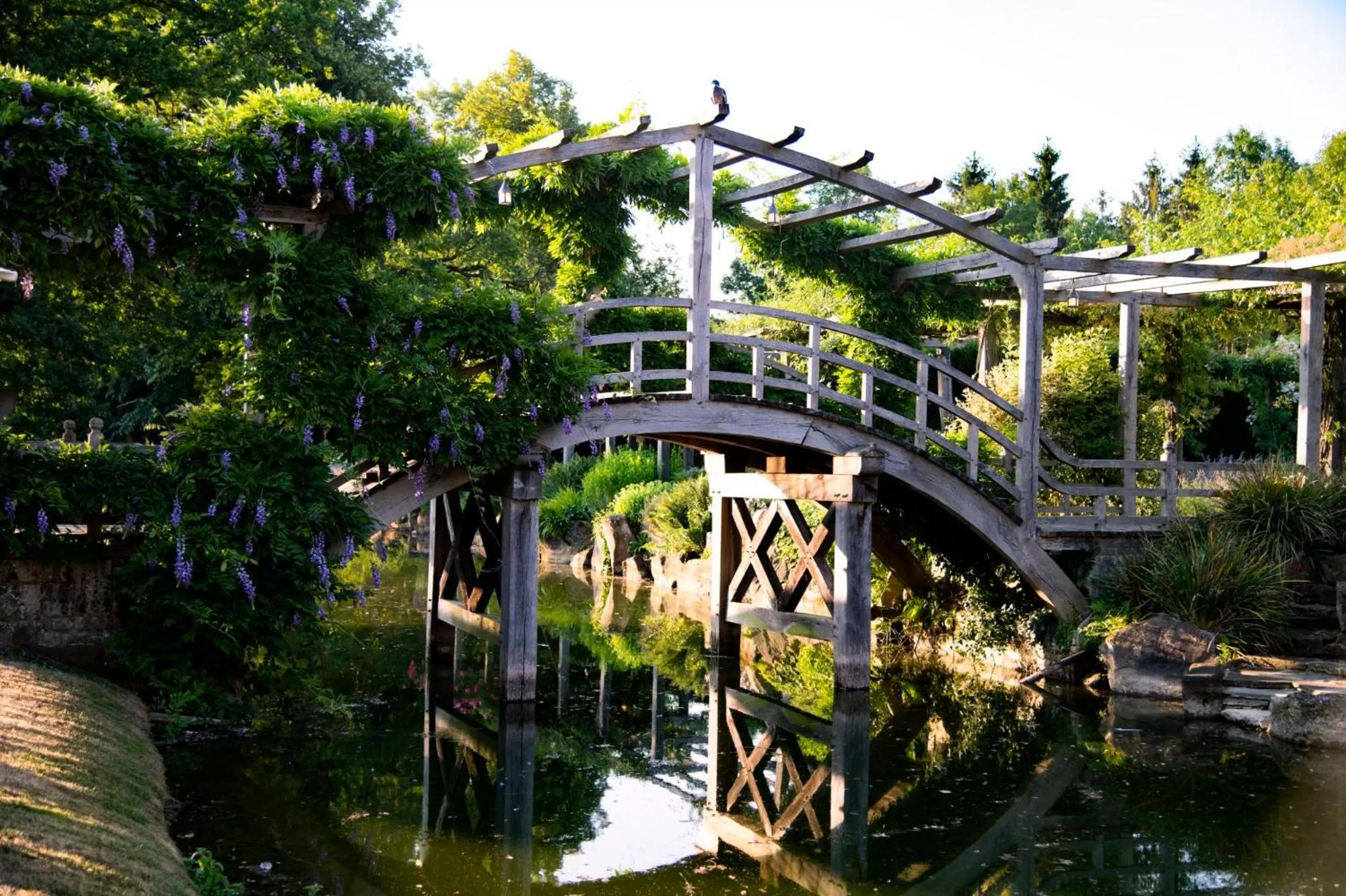 Garden in Great Fosters - Near Windsor