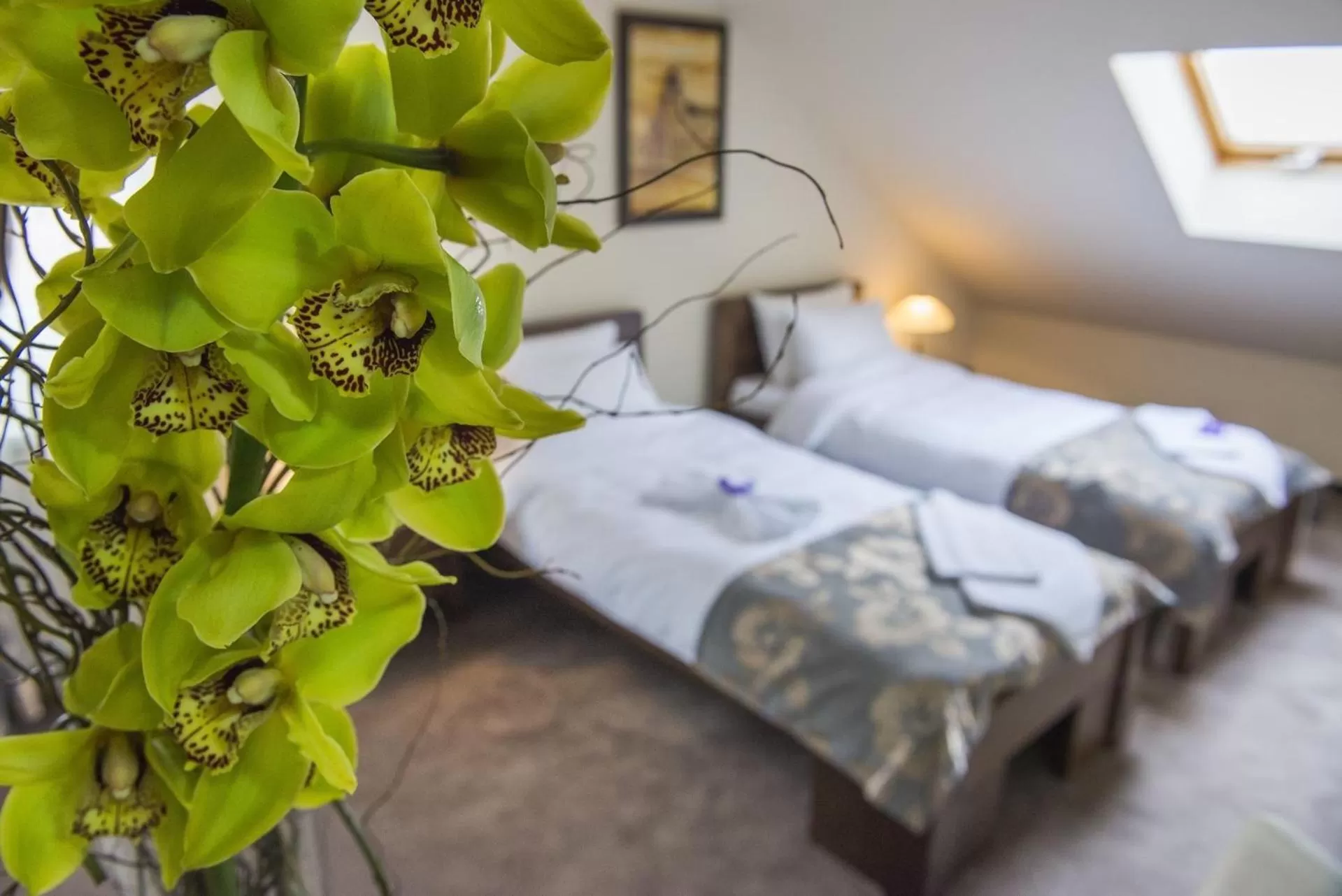 Photo of the whole room, Bed in Garni Hotel Central Lux