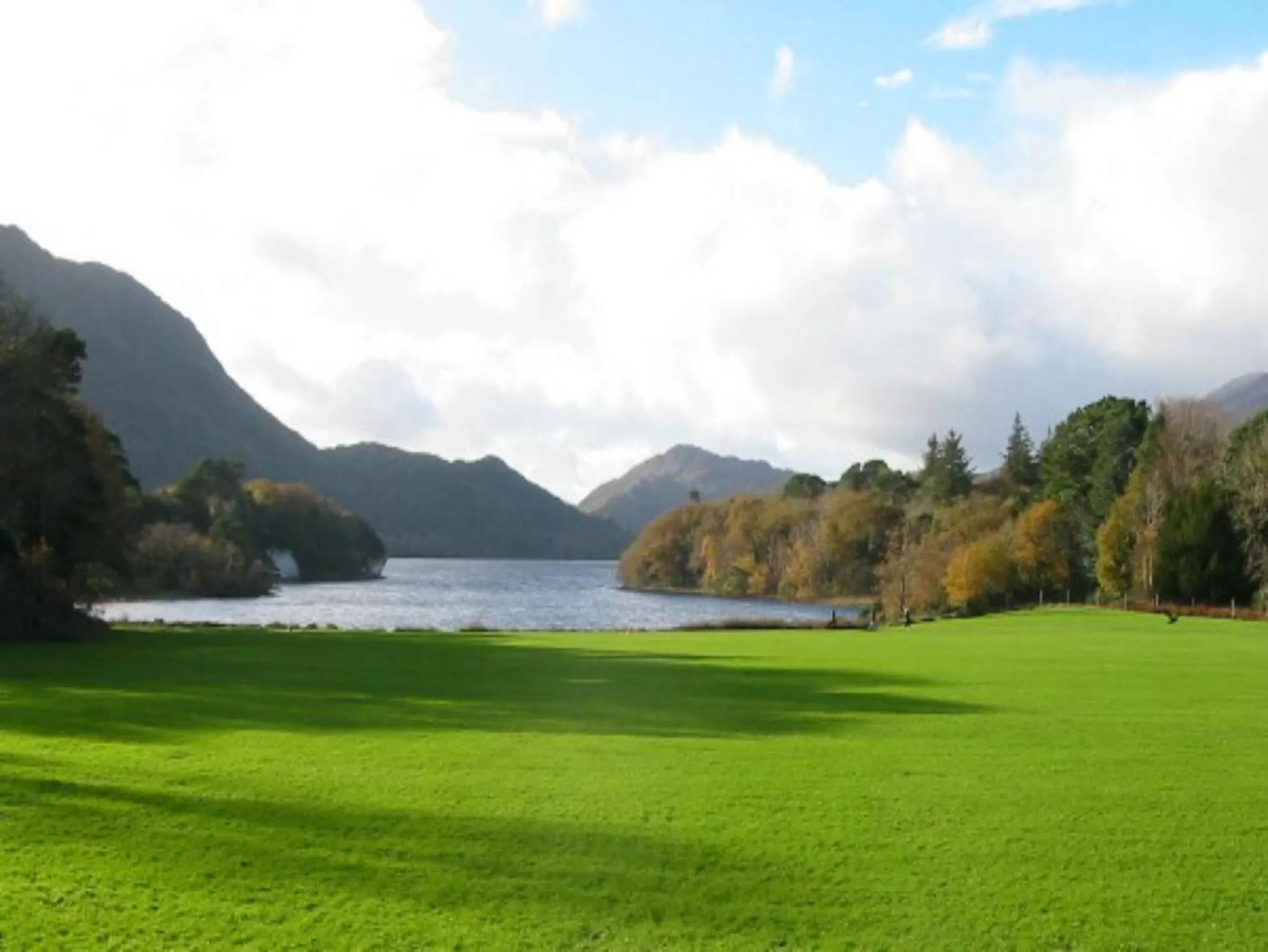 Area and facilities in Killarney Dromhall Hotel