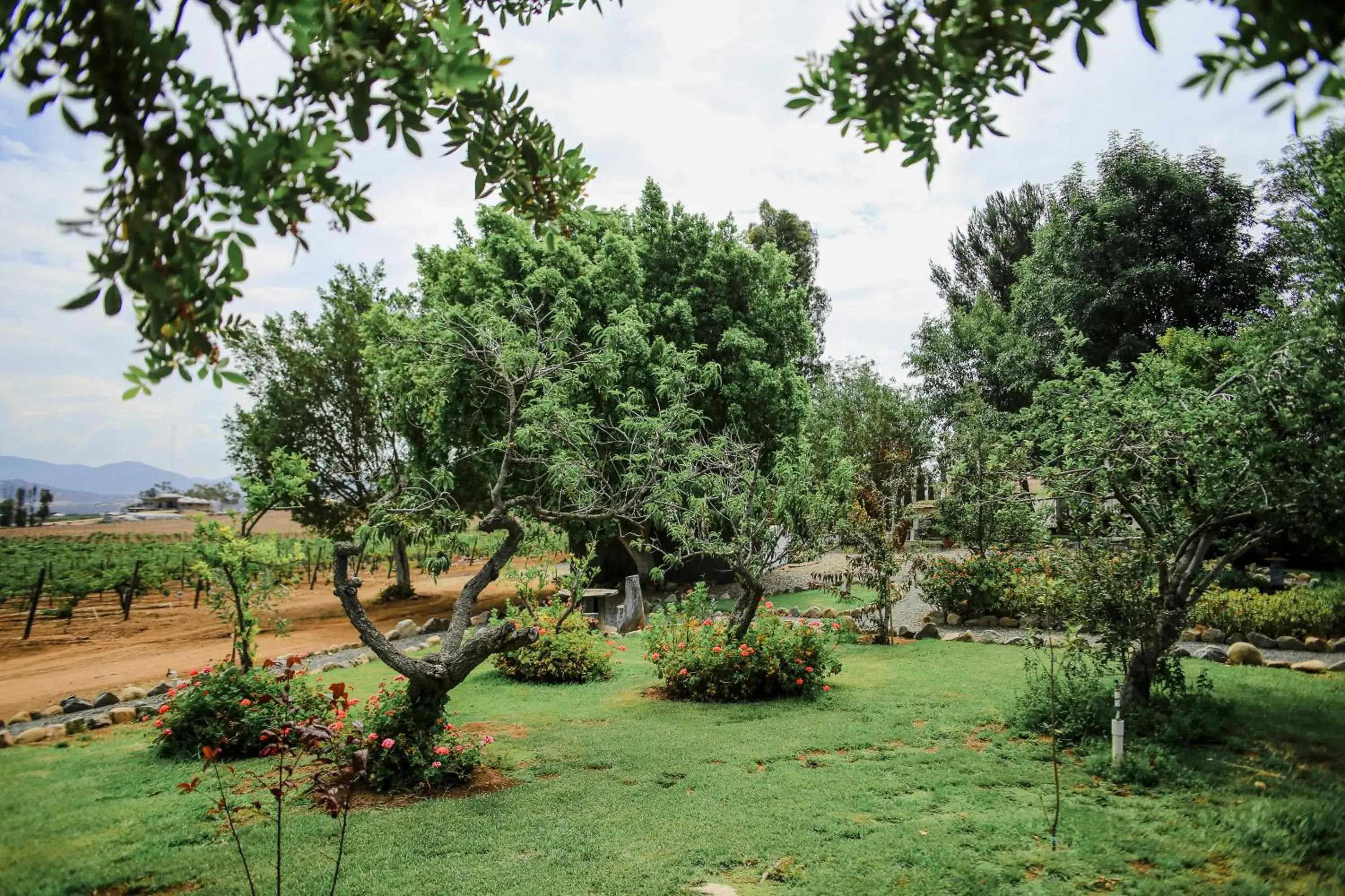 Garden view, Garden in Rancho el Parral