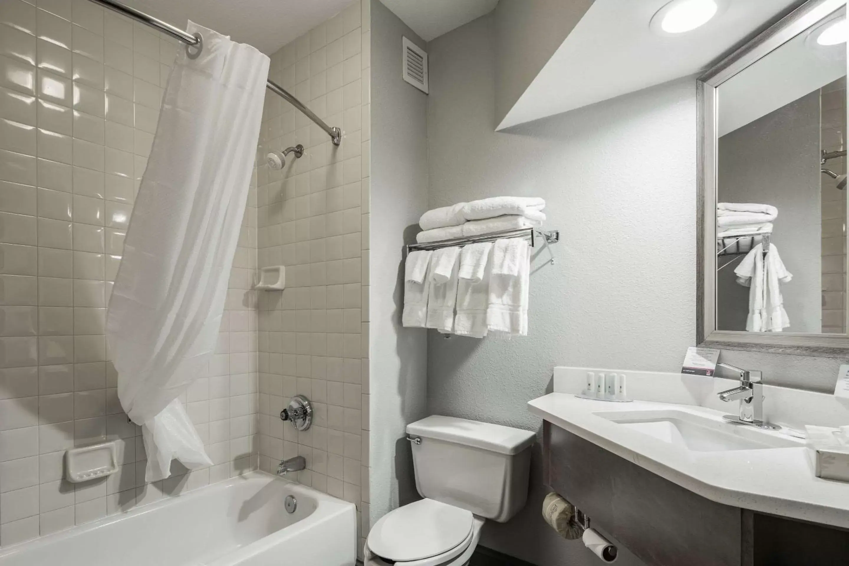 Bathroom in Clarion Inn near Lookout Mountain