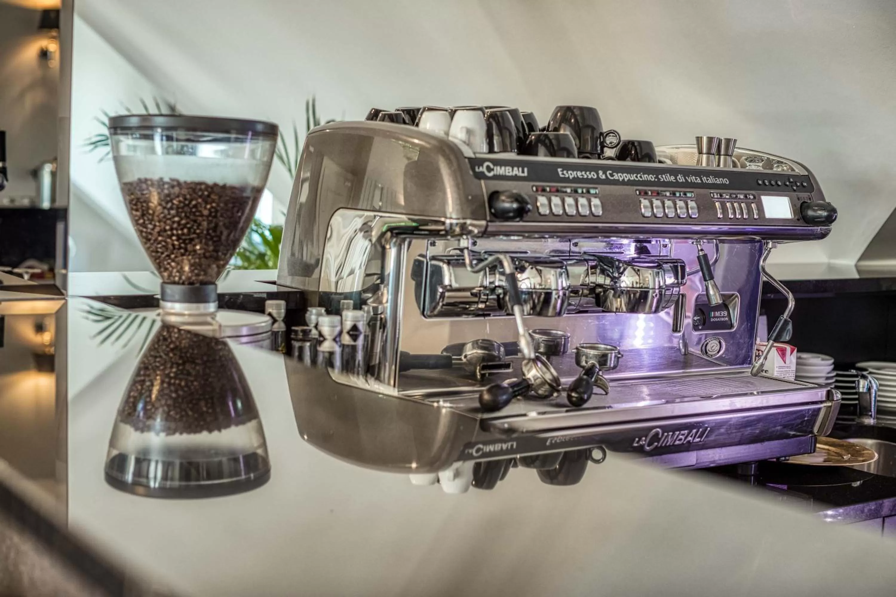 Restaurant/places to eat in Hotel Biały Dom