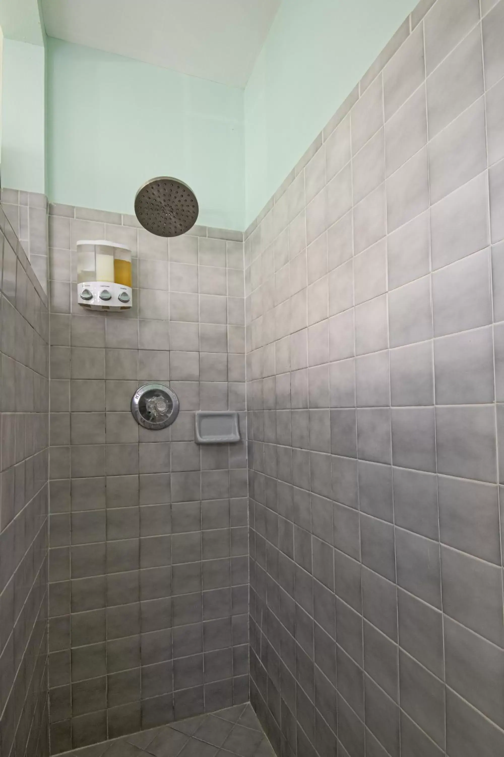 Shower, Bathroom in Hemingway House Bed and Breakfast