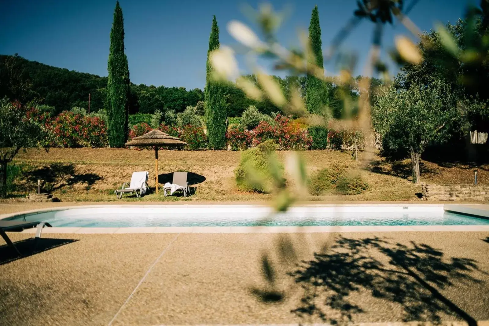 Swimming Pool in Le Clos Saint Michel & Spa