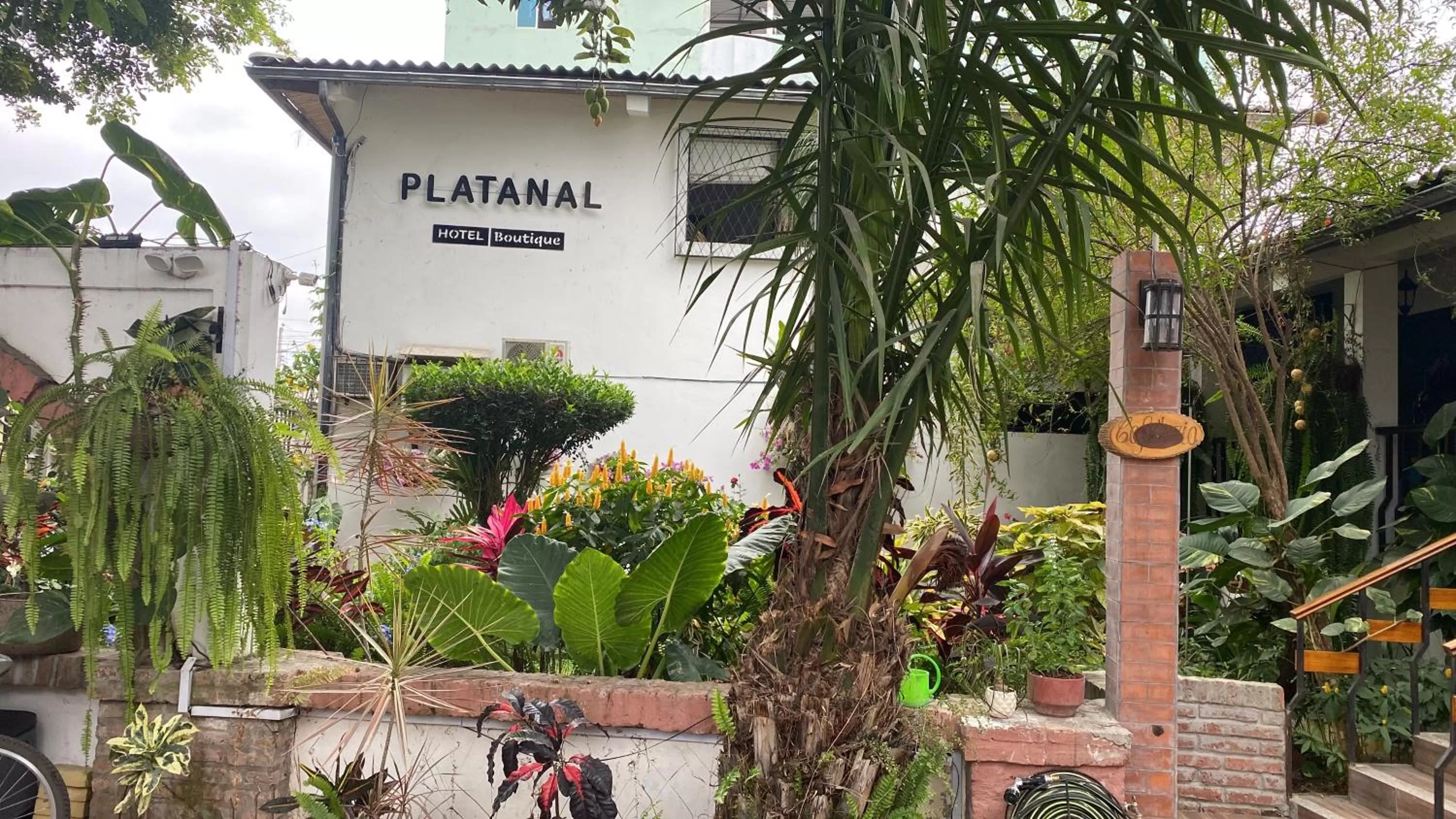 Garden view in Hotel Boutique Platanal