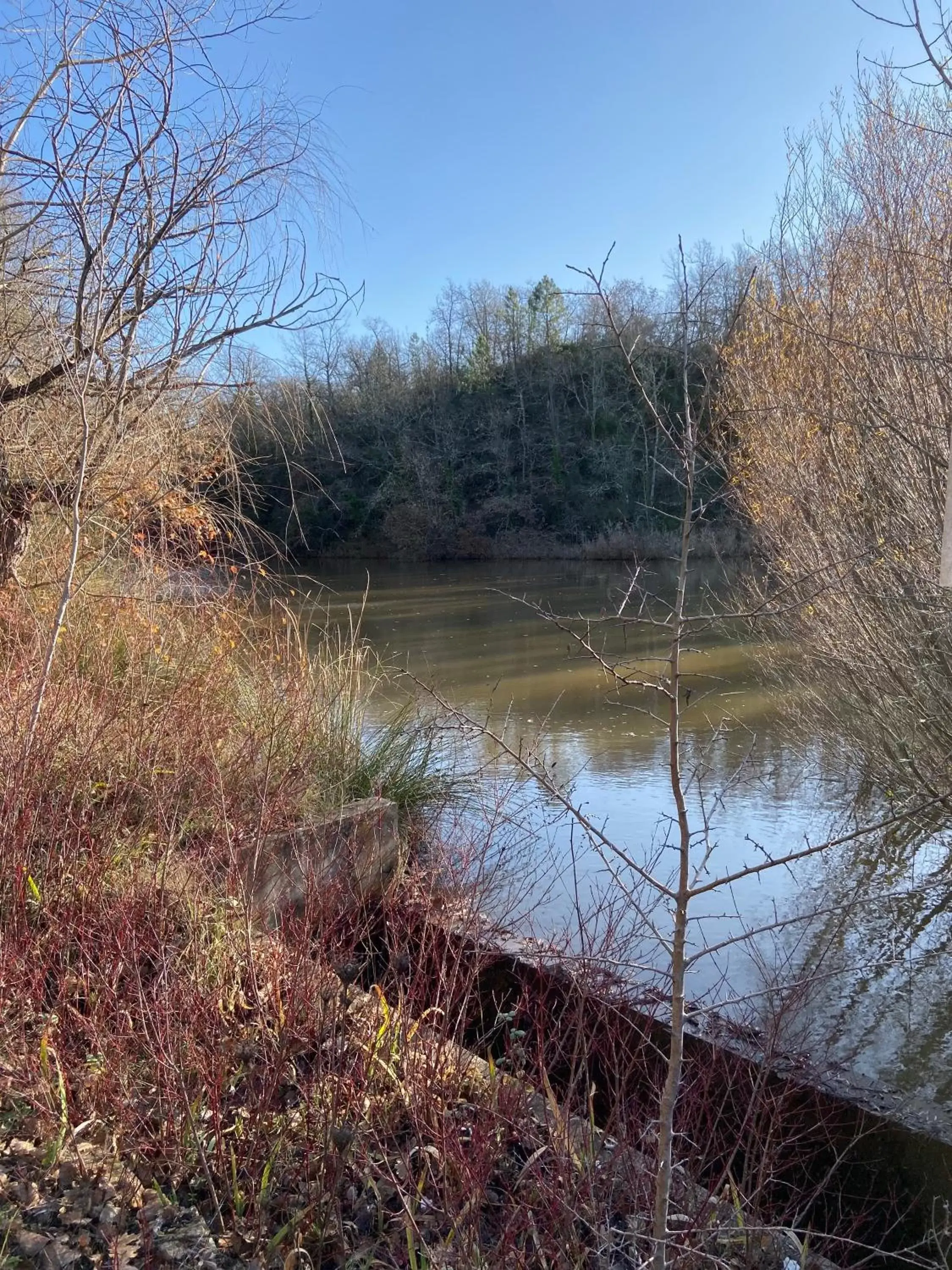 Natural landscape in Fleur de Lys