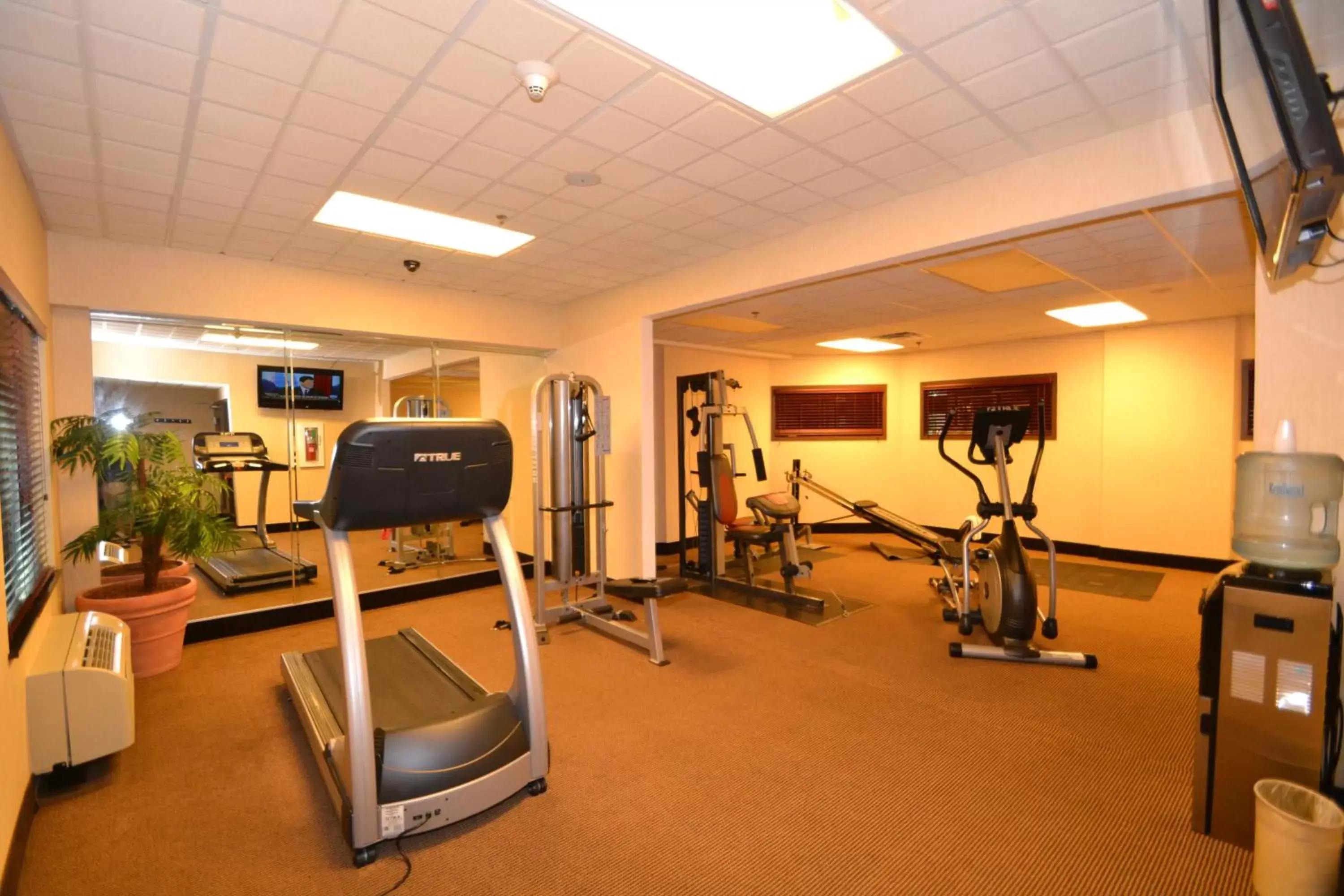 Fitness centre/facilities, Fitness Center/Facilities in Holiday Inn Express & Suites Mobile West I-10, an IHG Hotel