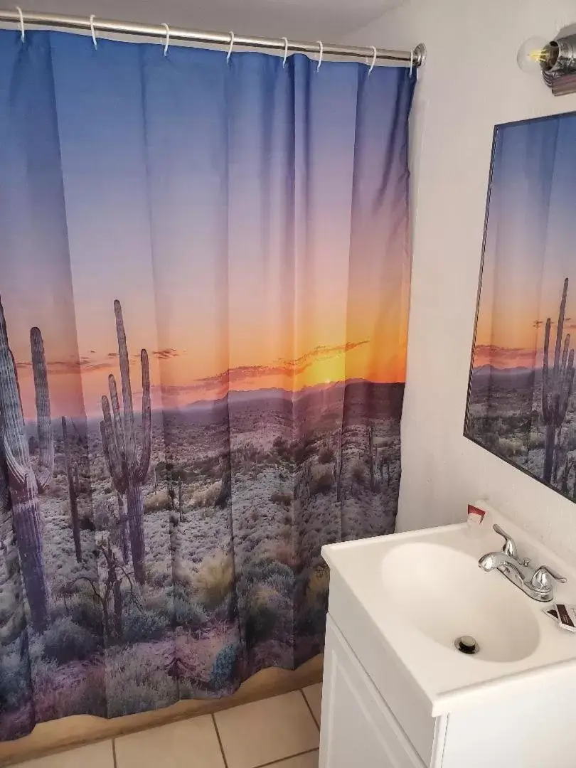 Bathroom in Brad's Desert Inn