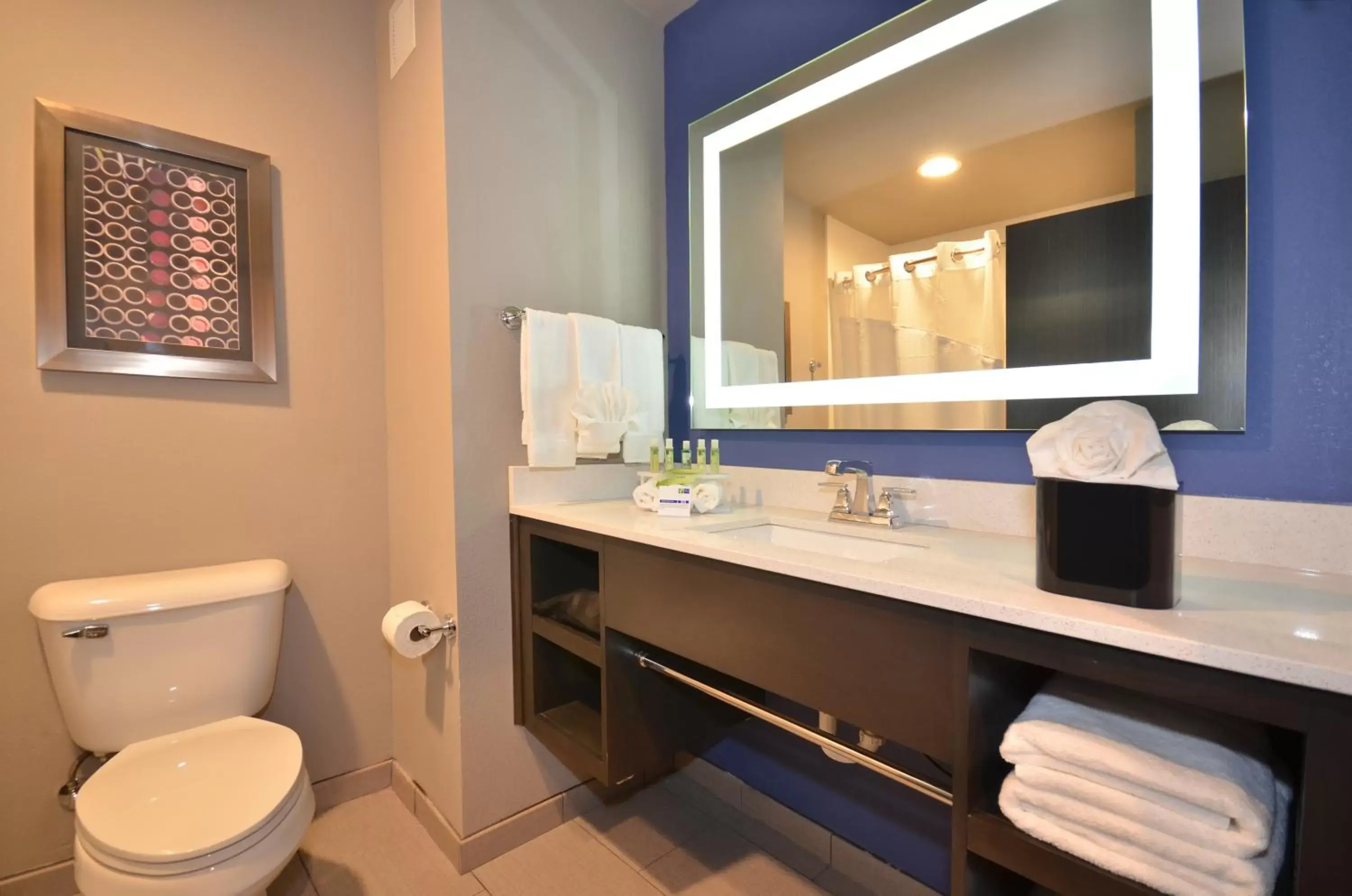 Bathroom in Holiday Inn Express & Suites Oklahoma City Mid - Arpt Area, an IHG Hotel