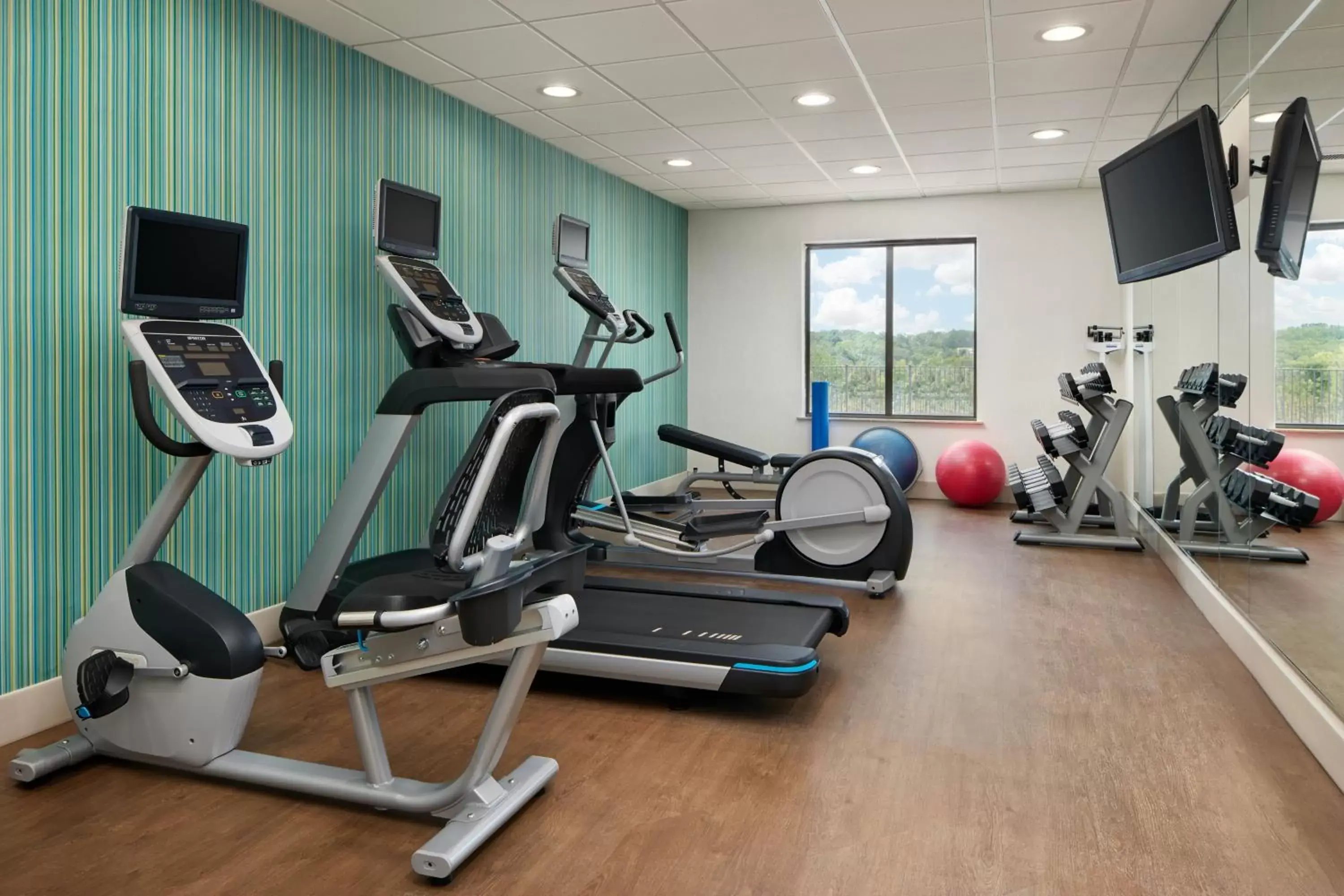 Spa and wellness centre/facilities, Fitness Center/Facilities in Holiday Inn Express Hotel & Suites Salem, an IHG Hotel