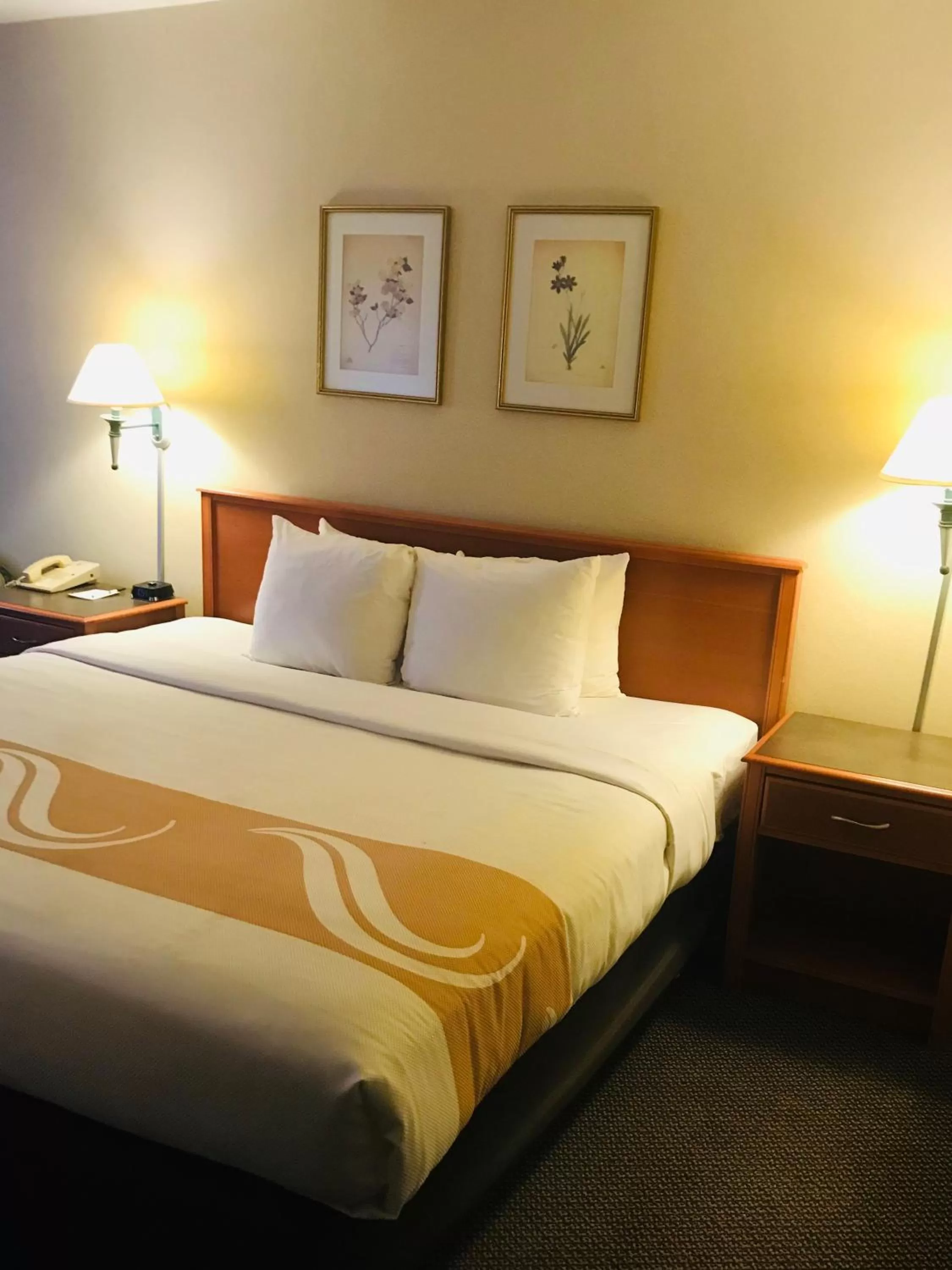 King Room - Non-Smoking in Quality Inn