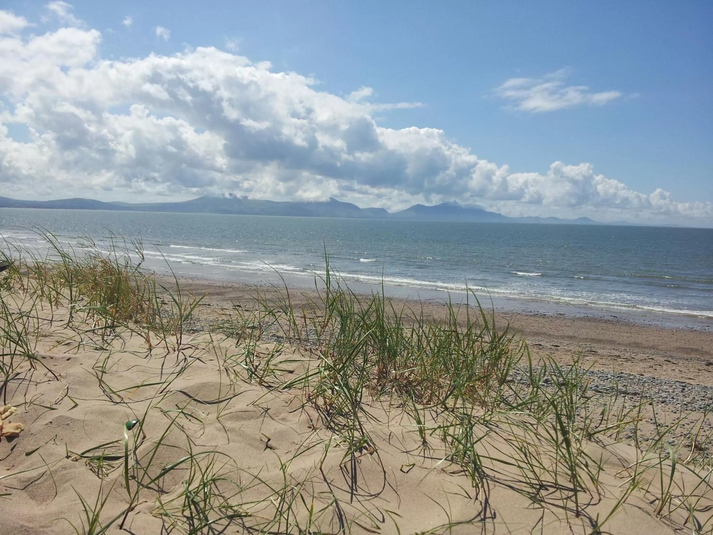 Natural landscape in Craig Eithin B & B