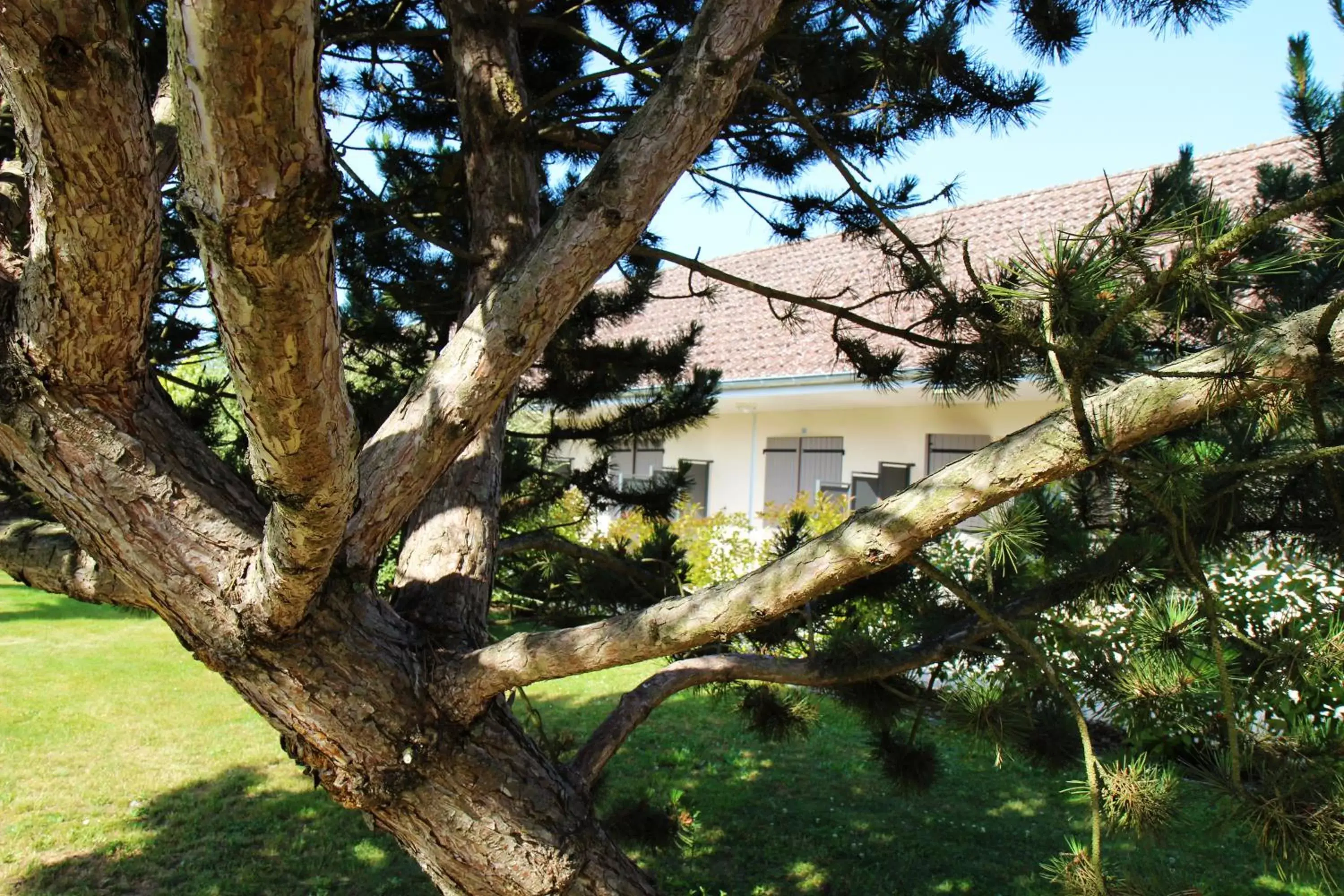 Garden, Property Building in Hôtel Le Clos Badan