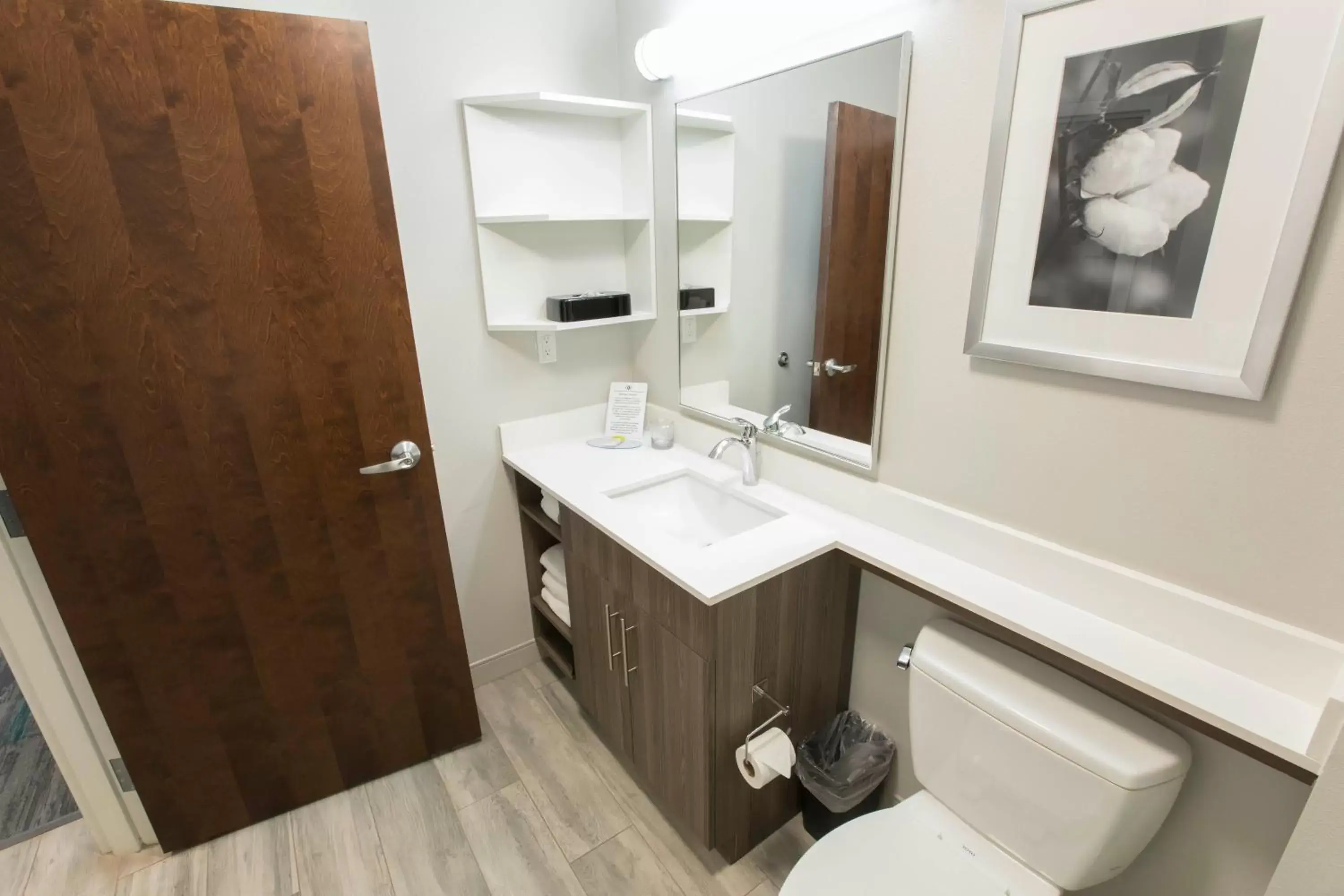 Bathroom in Candlewood Suites - McDonough, an IHG Hotel