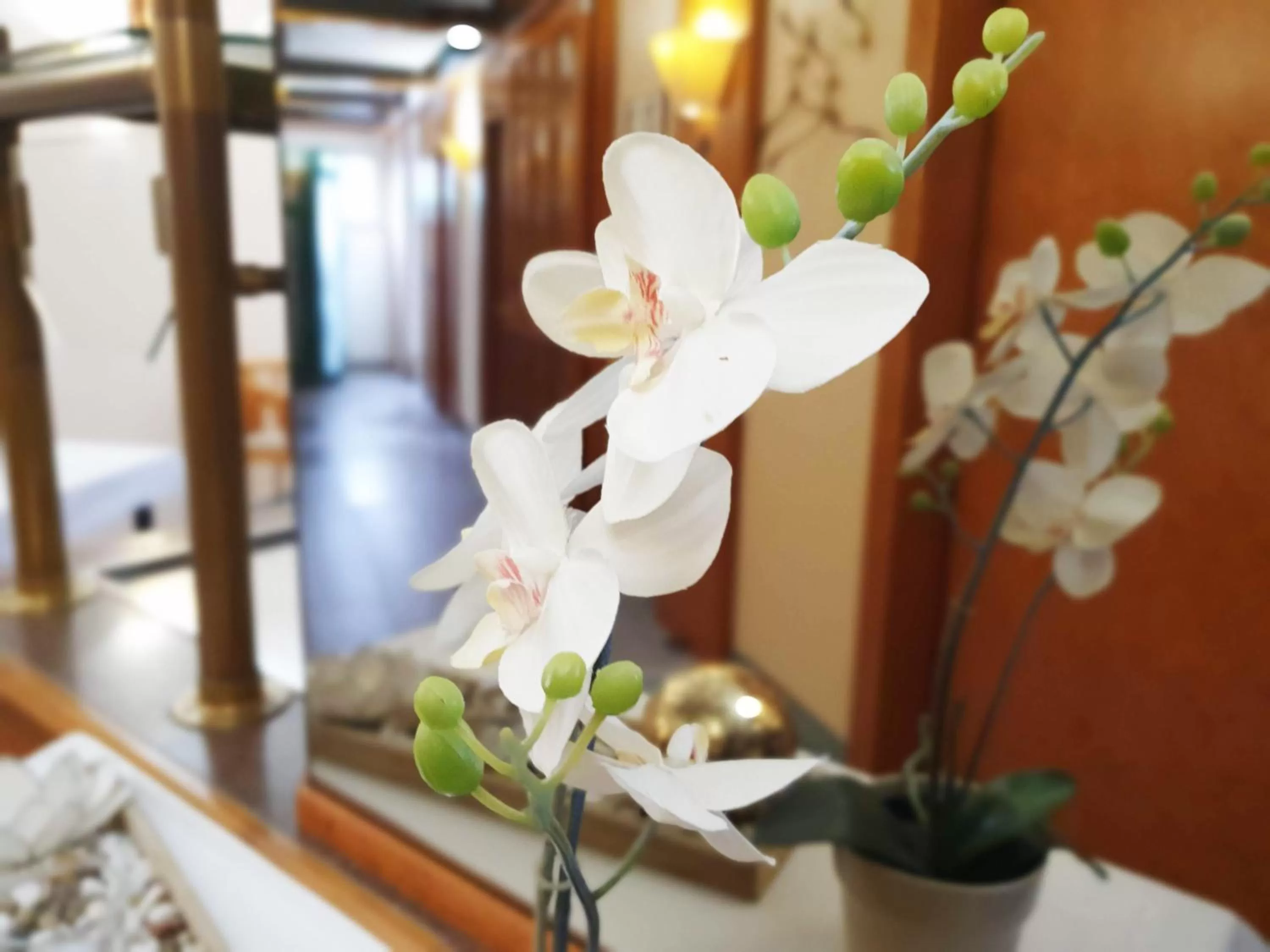 Restaurant/places to eat in Hotel am Kurpark