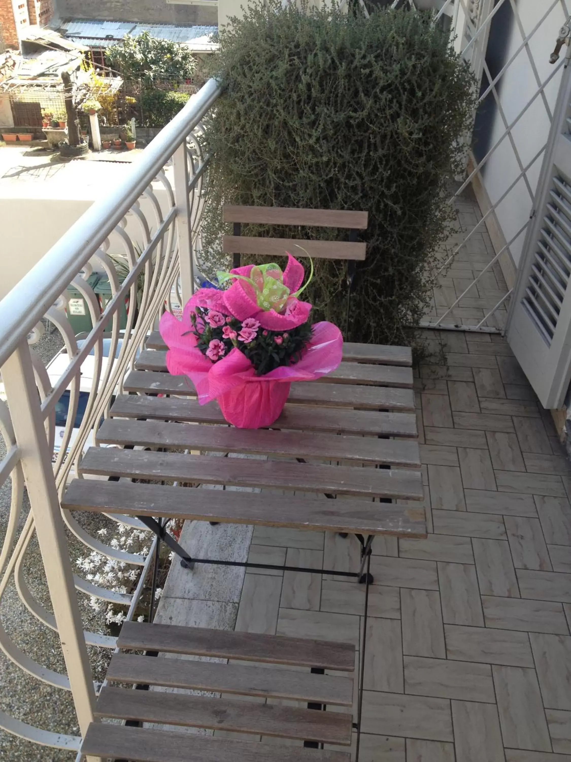 Patio/Outdoor Area in Hotel Paola