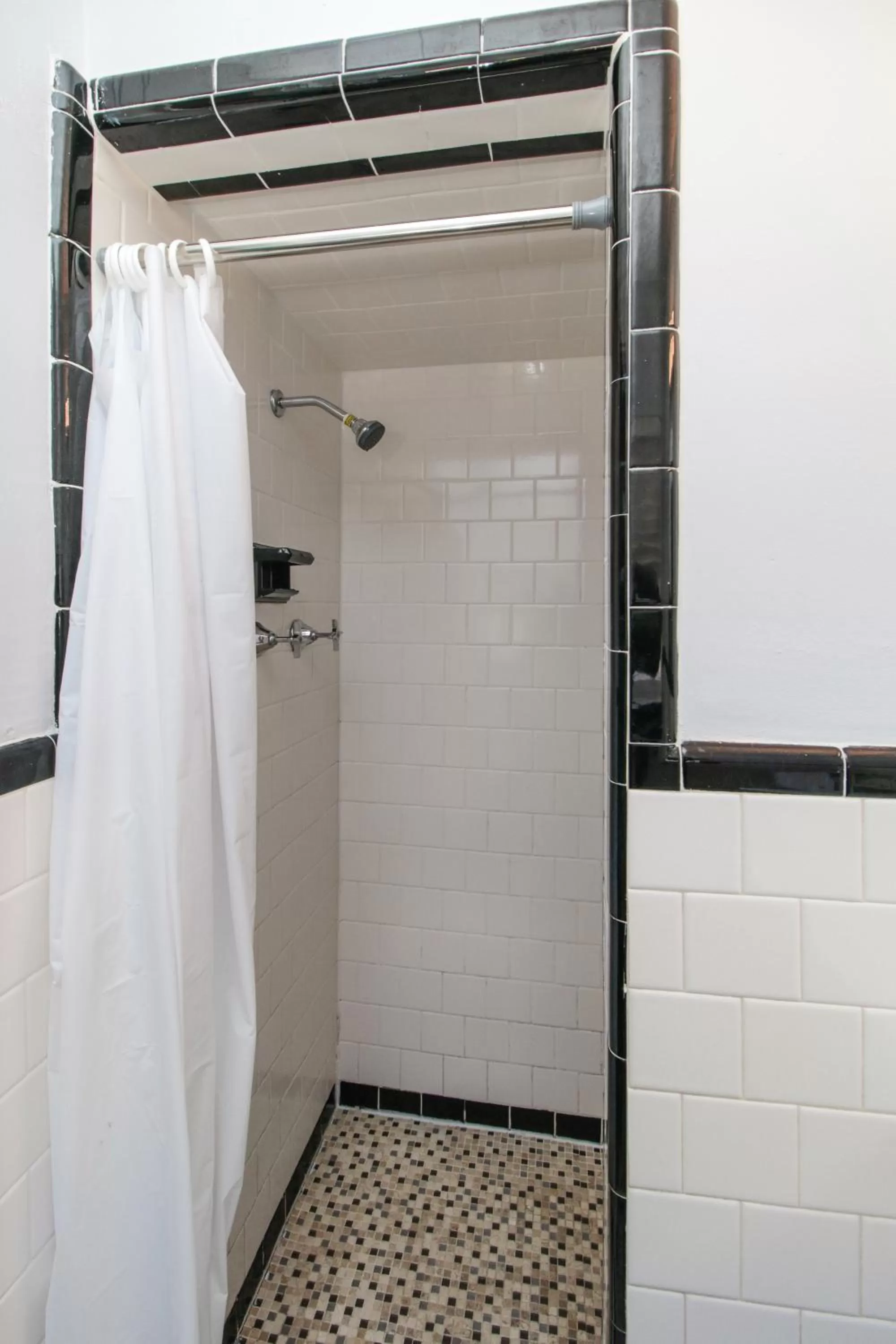 Other in The Dolphin Hollywood