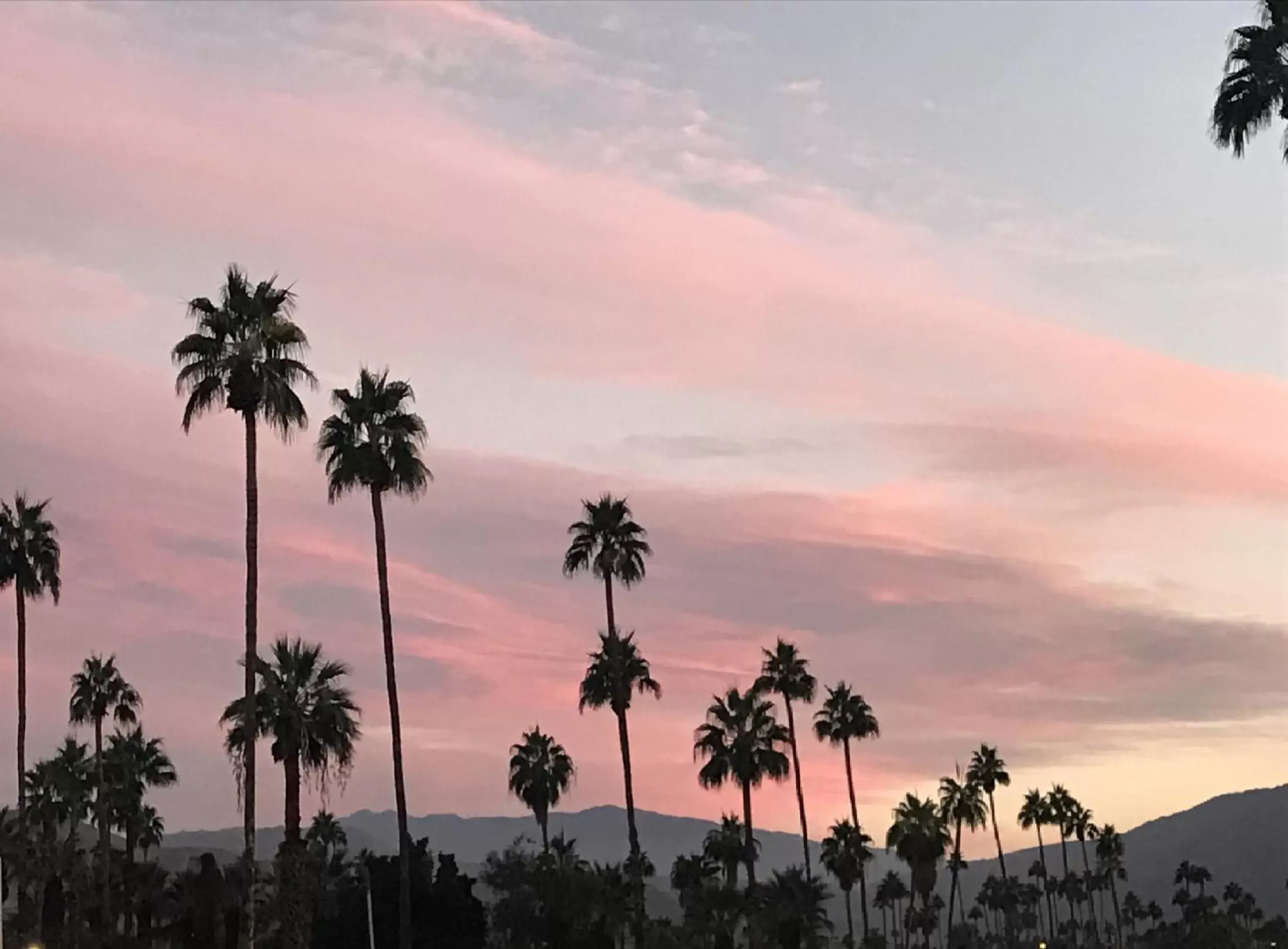 Street view, Sunrise/Sunset in Delos Reyes Palm Springs