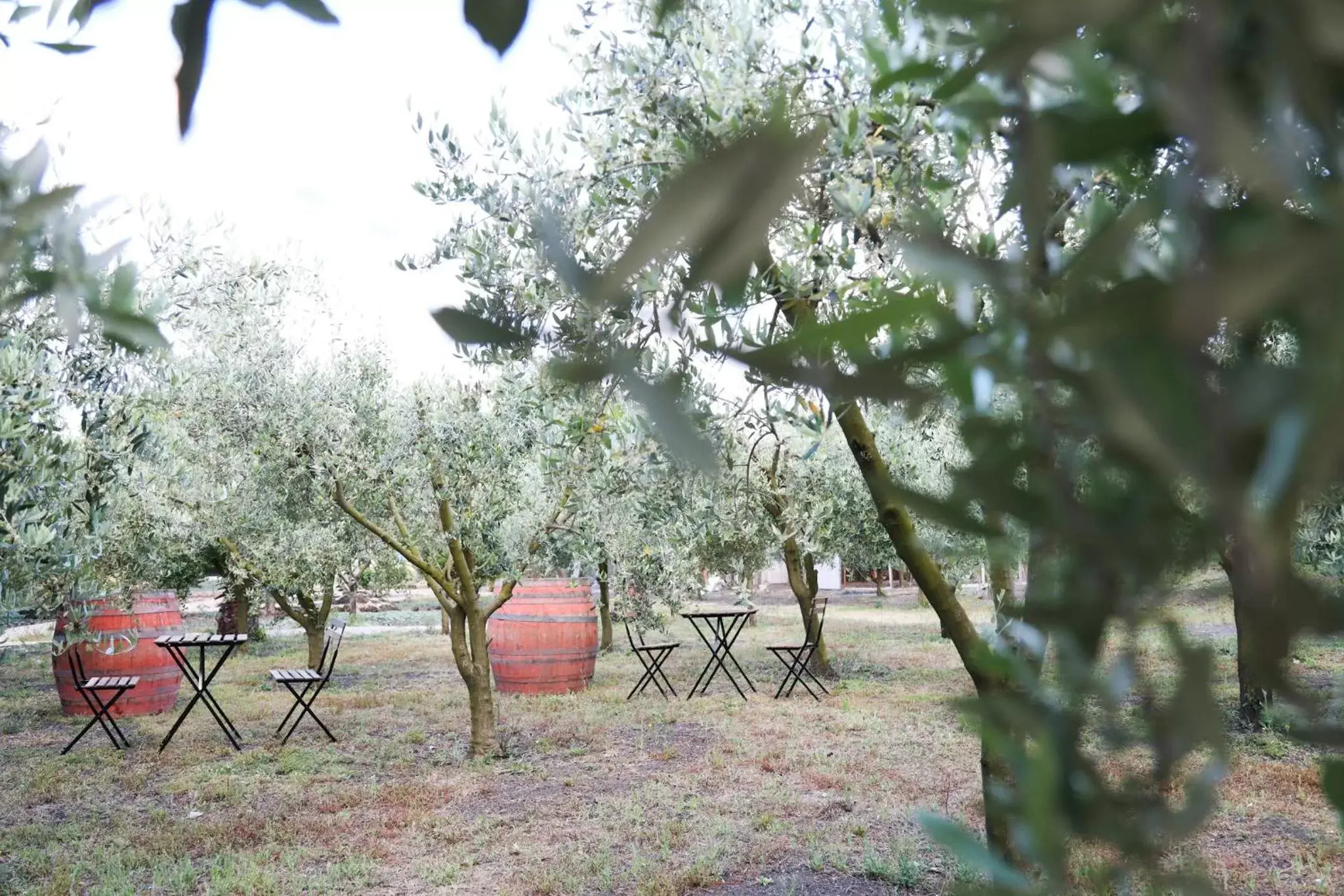 B&B Dimora di Campagna "alle falde del Vesuvio"