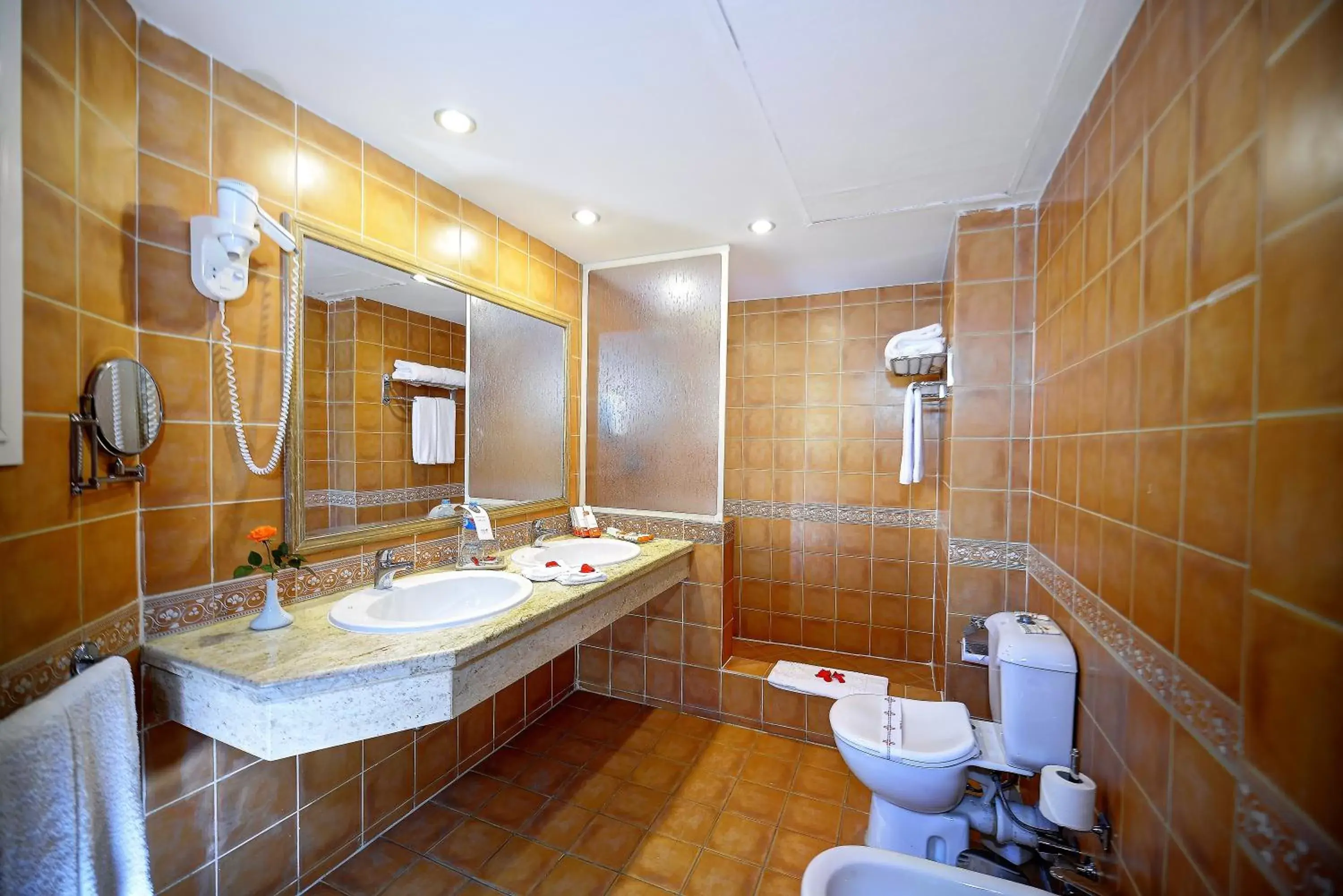 Shower, Bathroom in Stella Di Mare Sea Club Hotel