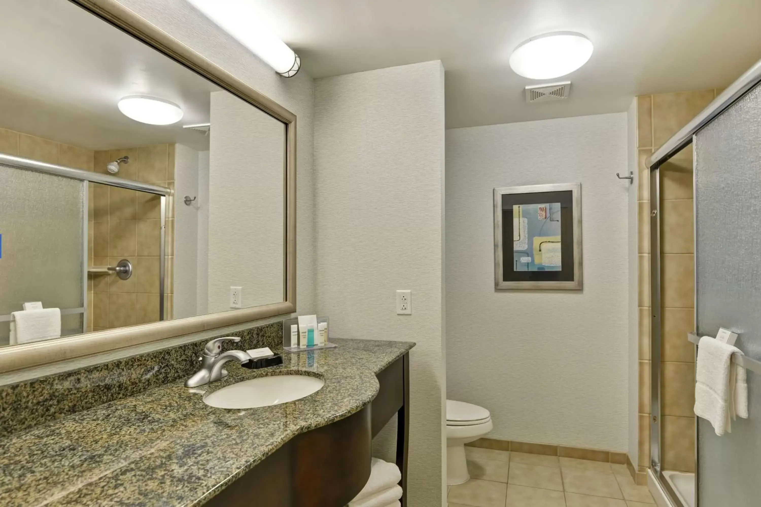 Bathroom in Hampton Inn & Suites Wilkes-Barre