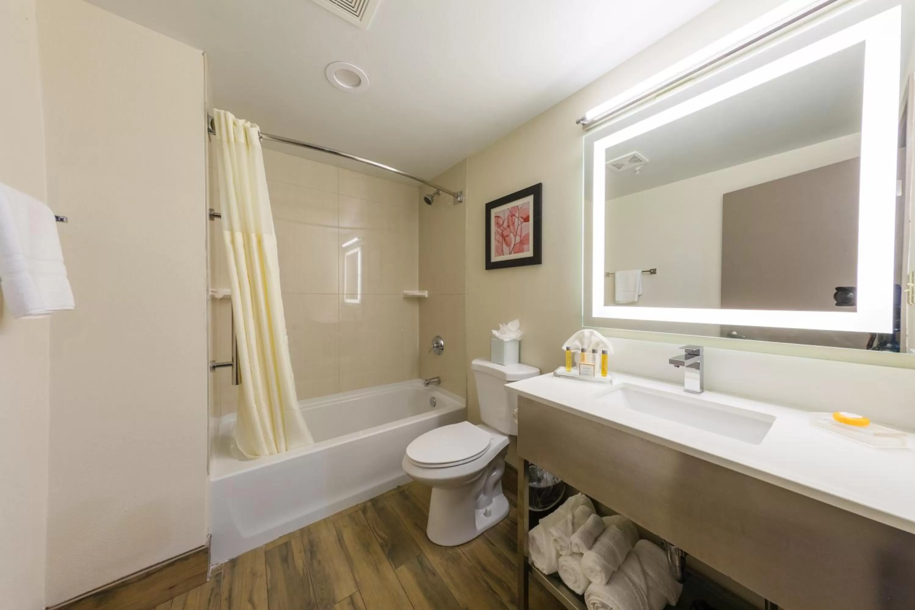 Toilet in Holiday Inn Brookfield - Milwaukee by IHG