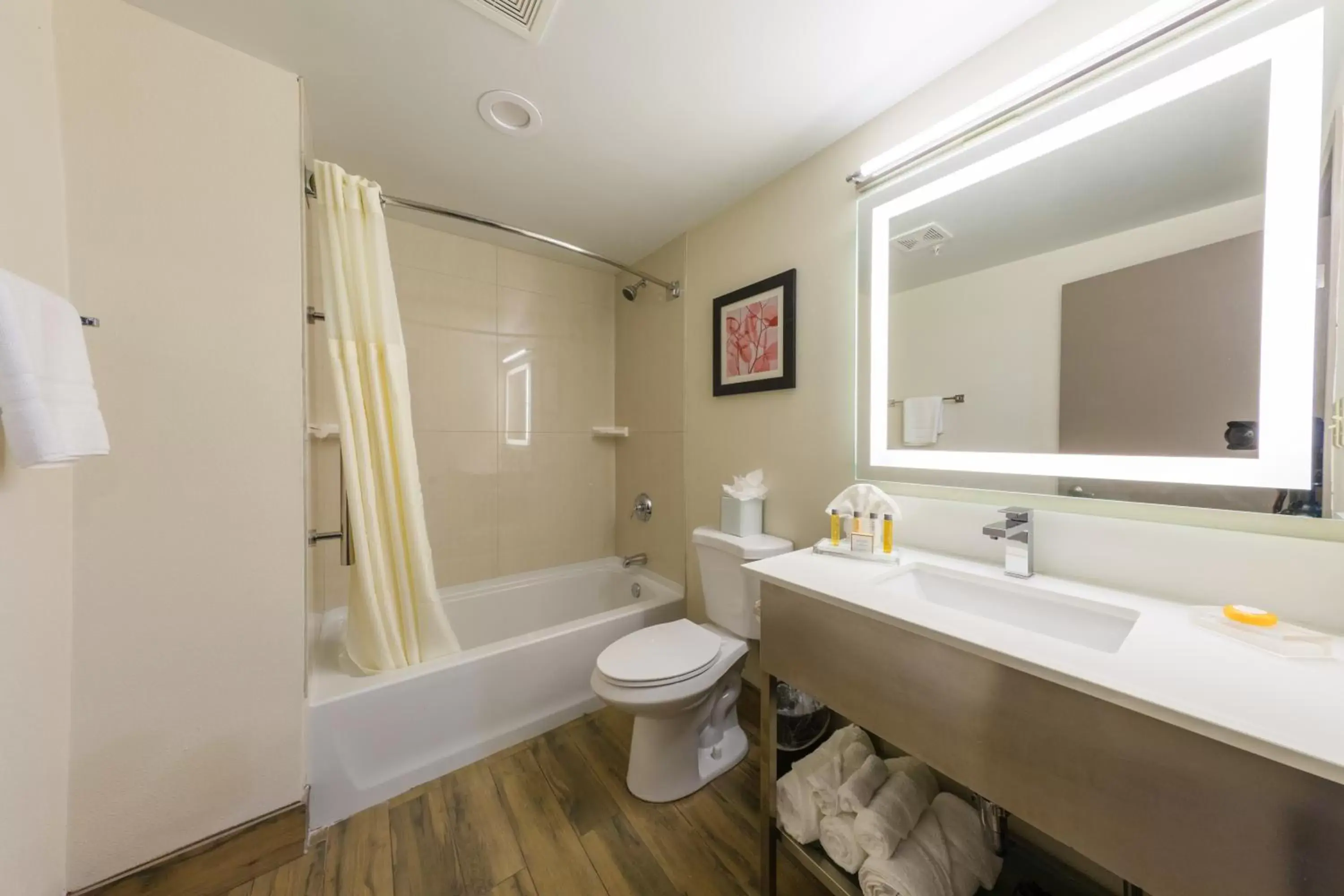 Toilet, Bathroom in Brookfield- Milwaukee Hotel