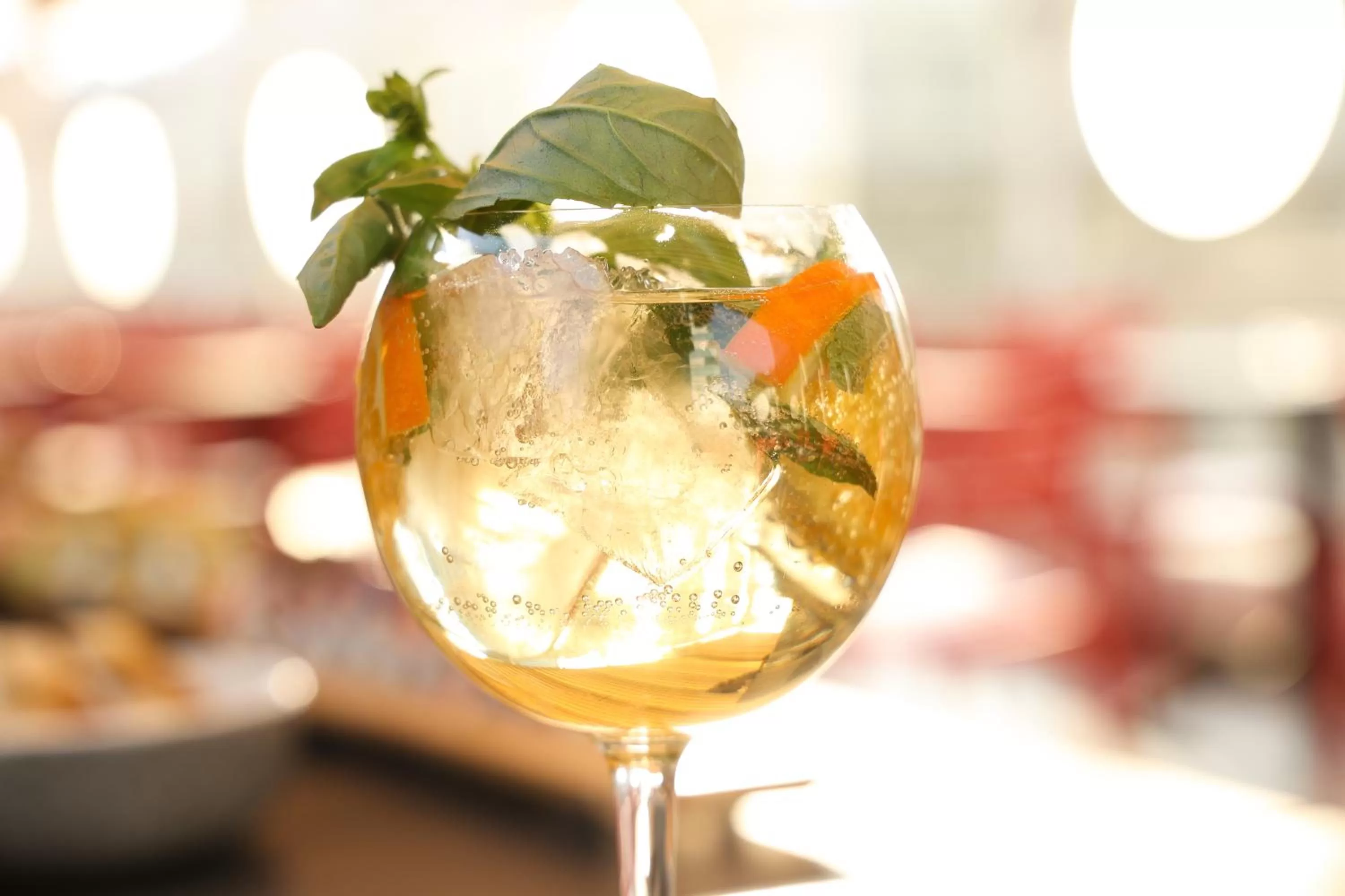 Food and drinks in Hotel Sommelier Agustinas