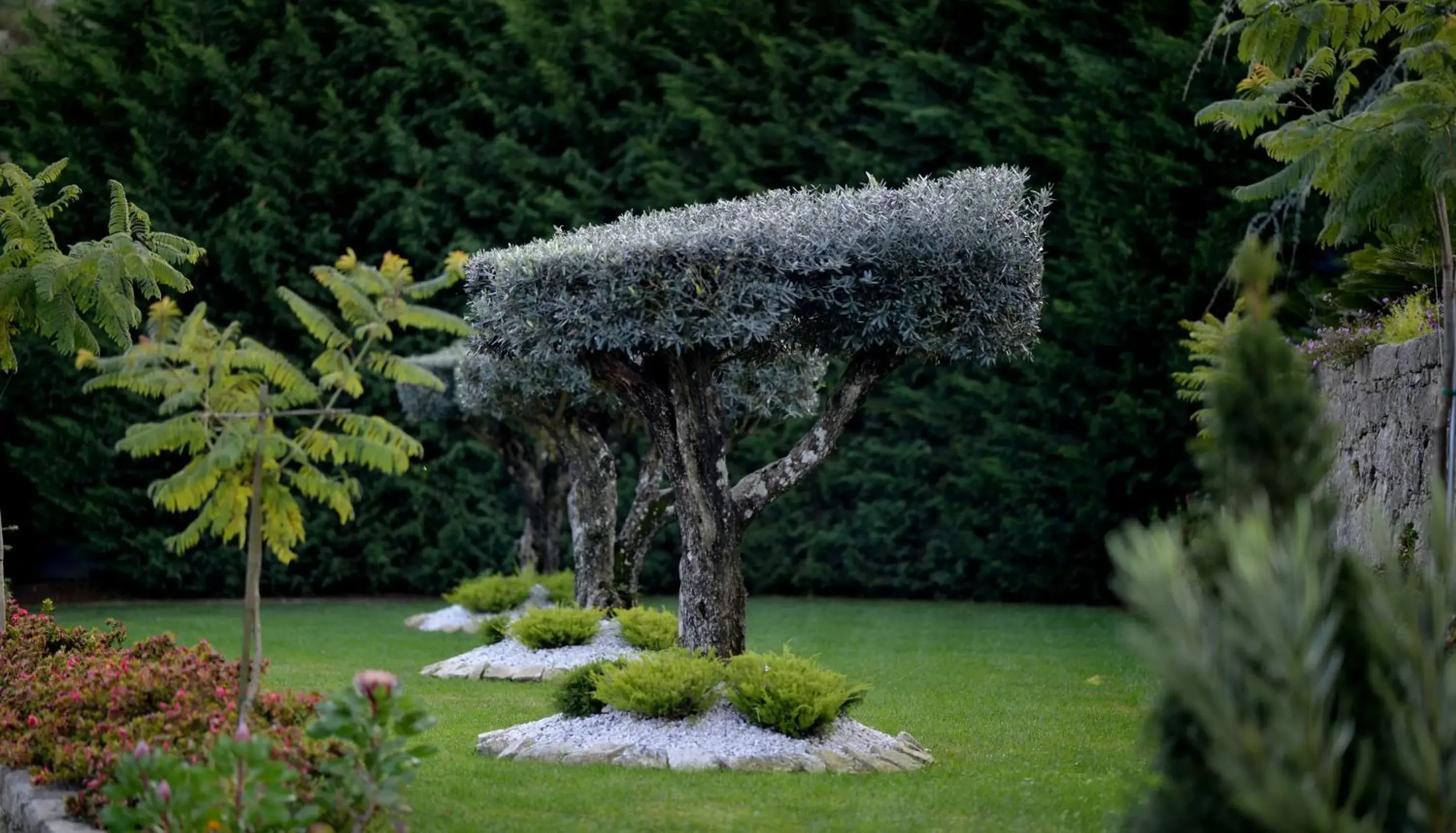 Garden in Casa das Carpas