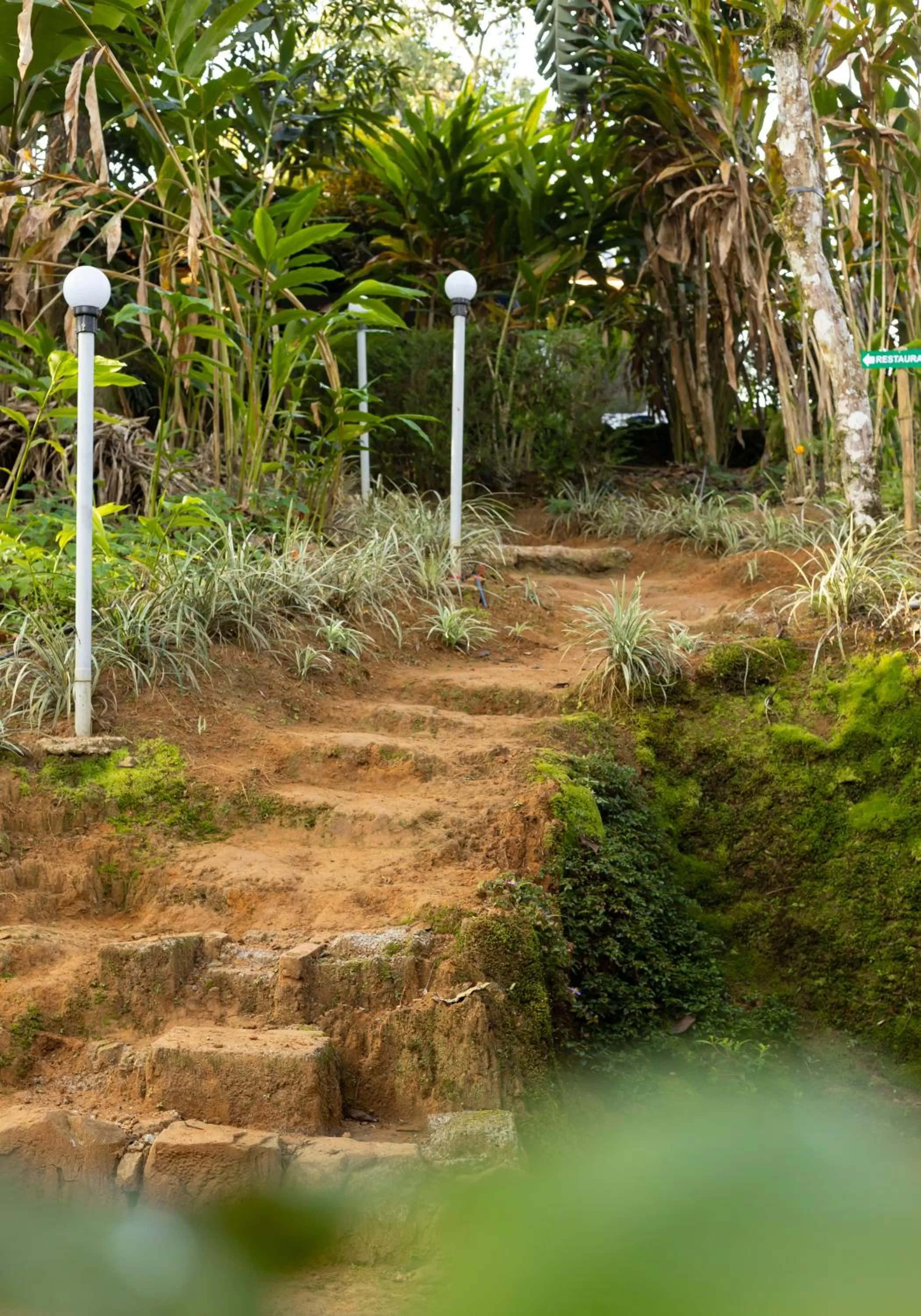 Garden in Ela Ecoland Nature Retreat