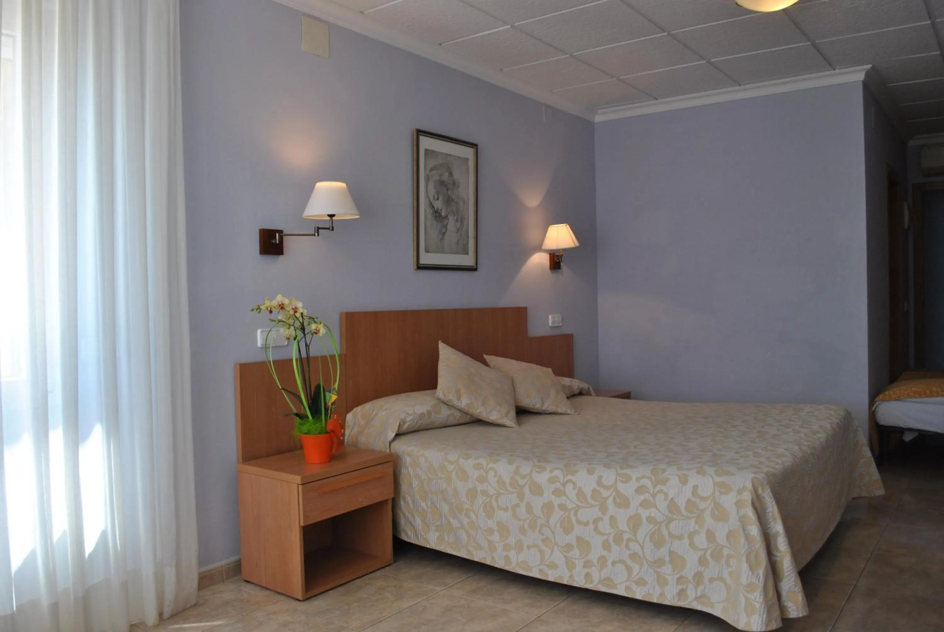 Double or Twin Room in Felipe II