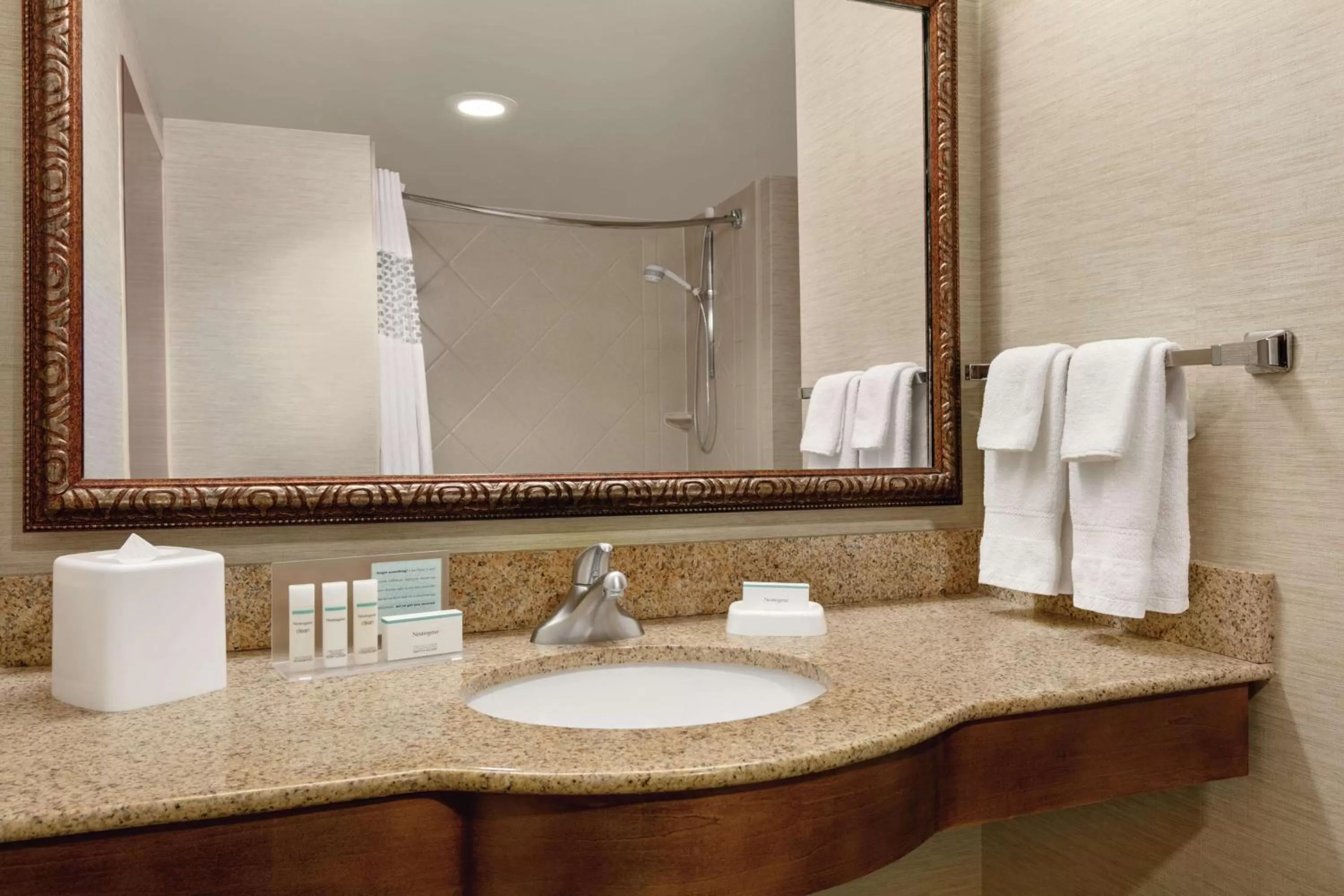 Bathroom in Hampton Inn & Suites Williamsburg Historic District