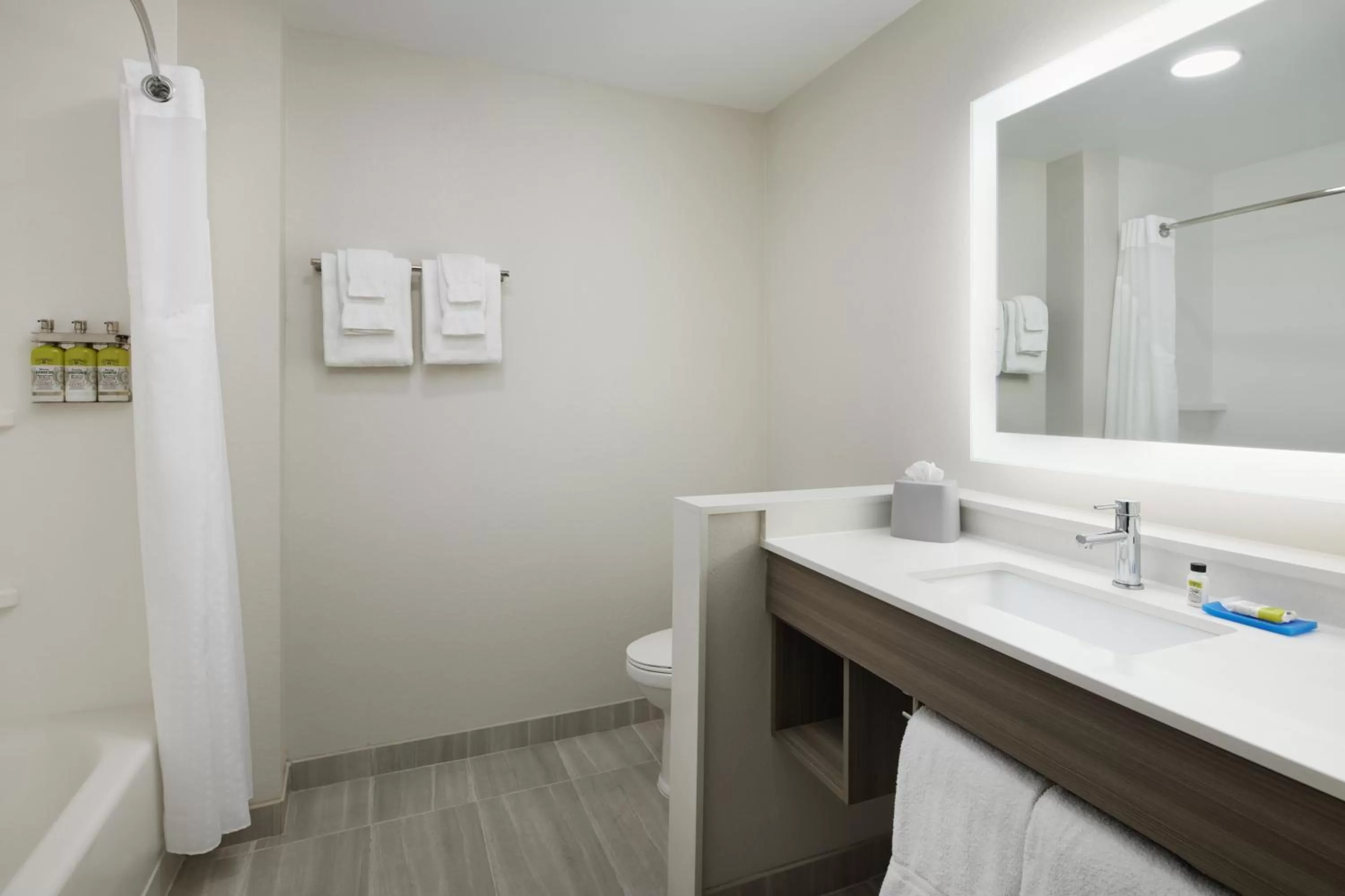Bathroom in Holiday Inn Express & Suites Gulf Breeze - Pensacola Area by IHG