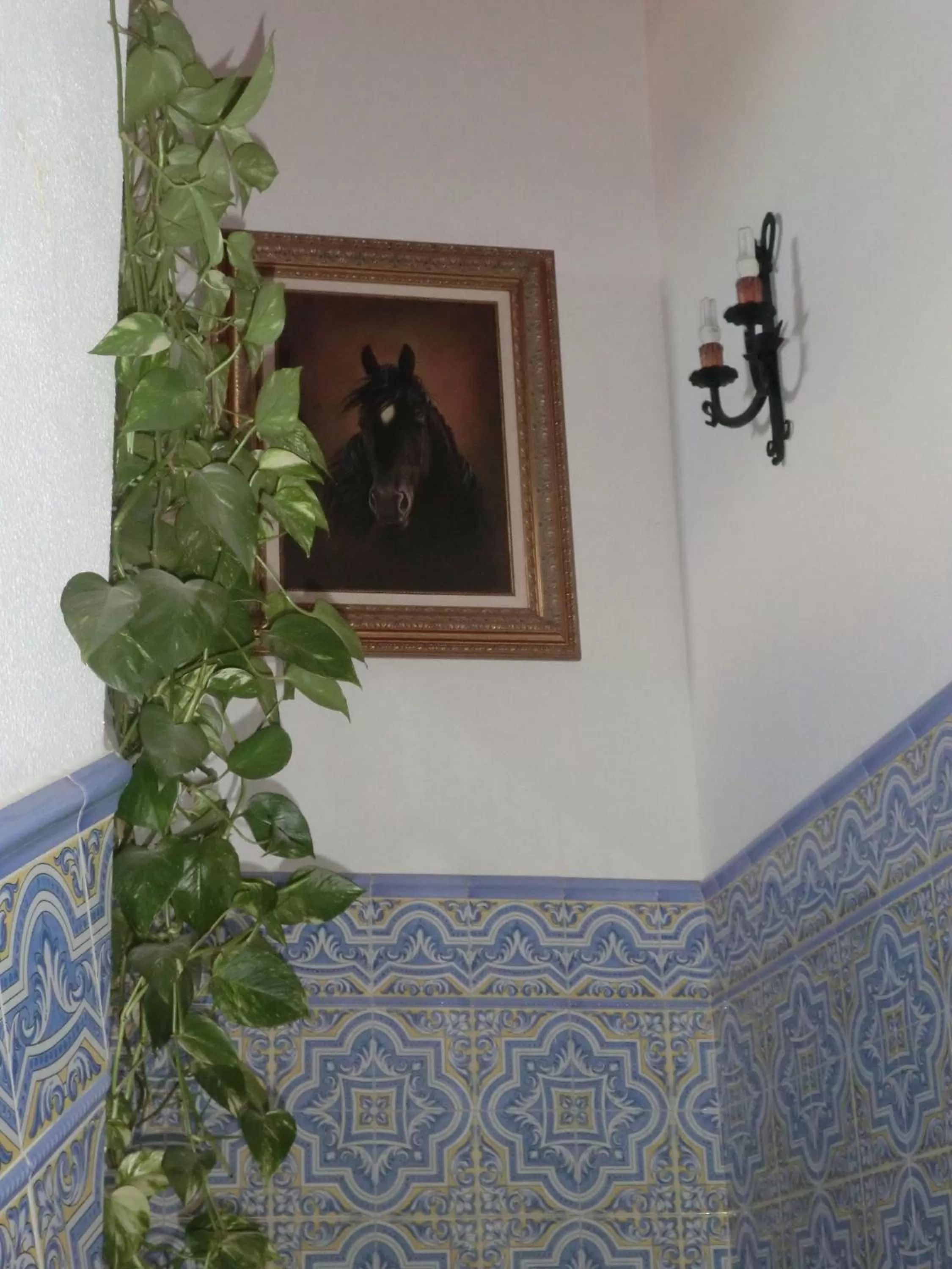 Other in Varandas de Alter Hotel & SPA