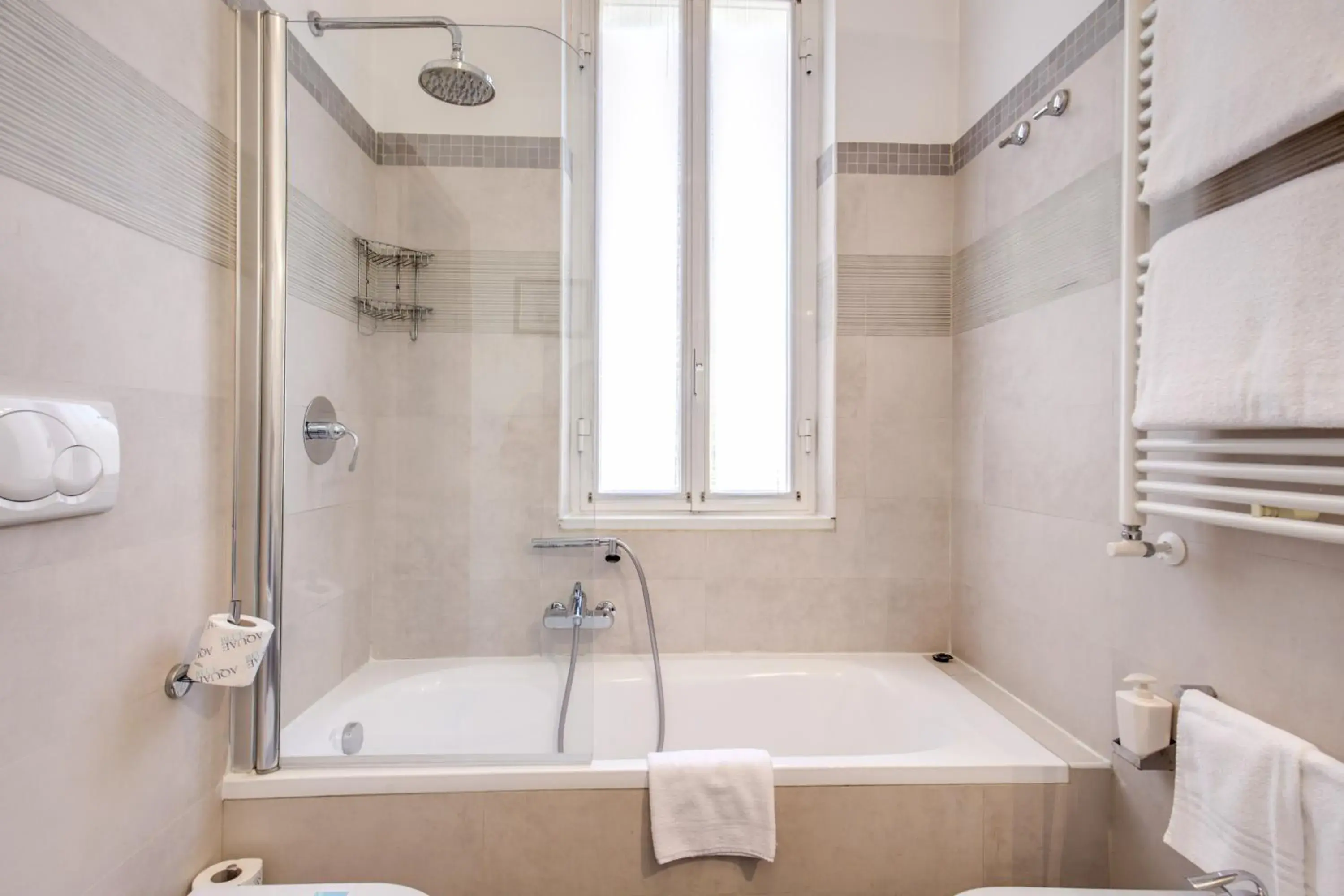 Bath, Bathroom in Domus Caracalla