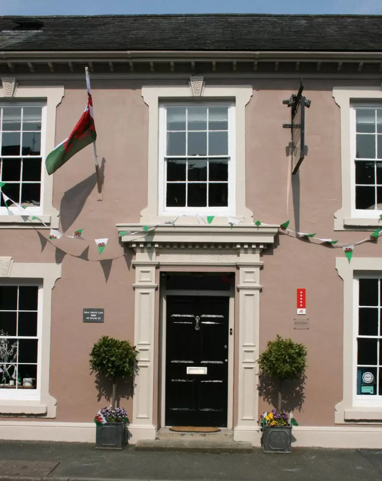 Property Building in The New White Lion