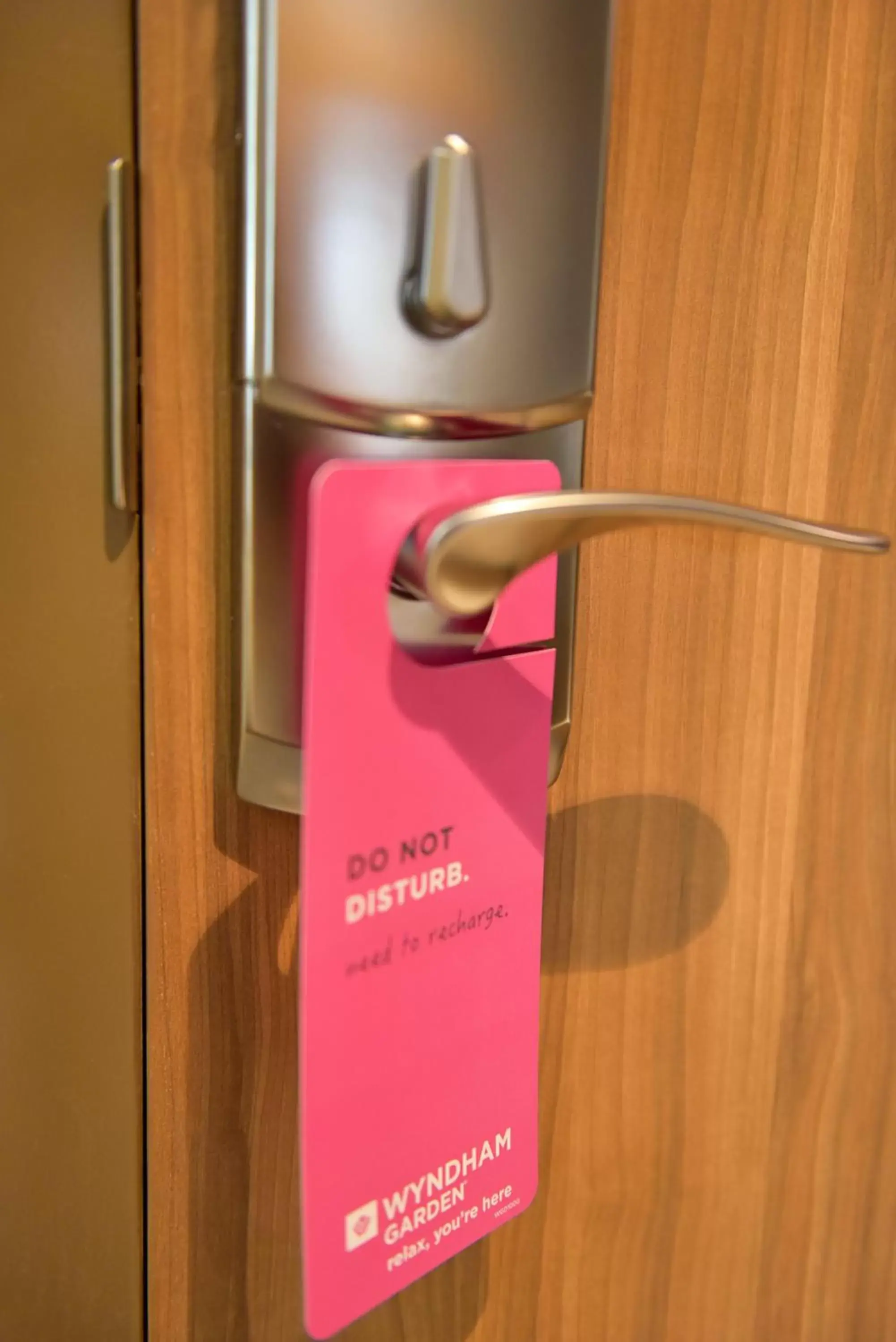 Property building in Wyndham Garden North Bergen - Secaucus Property building in Wyndham Garden North Bergen - Secaucus