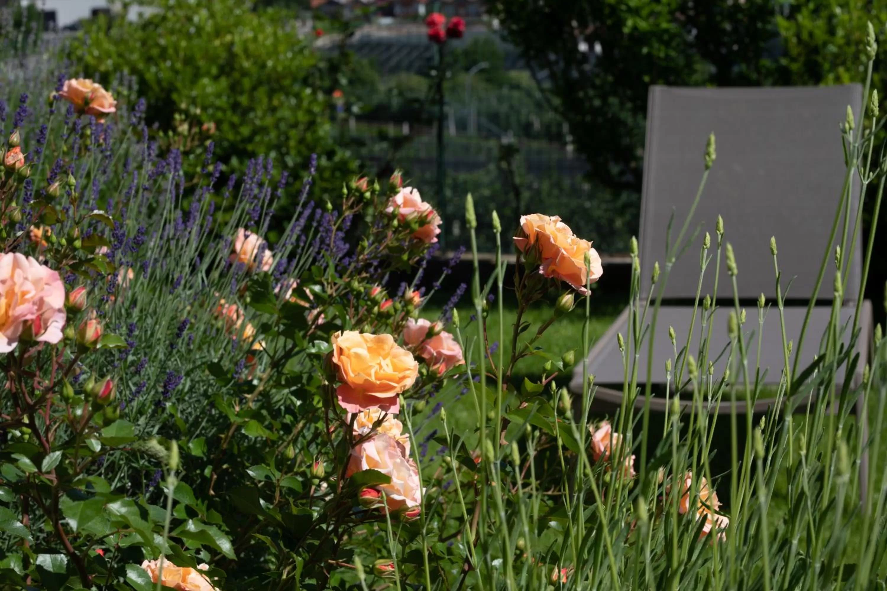 Garden in Residence Margreth