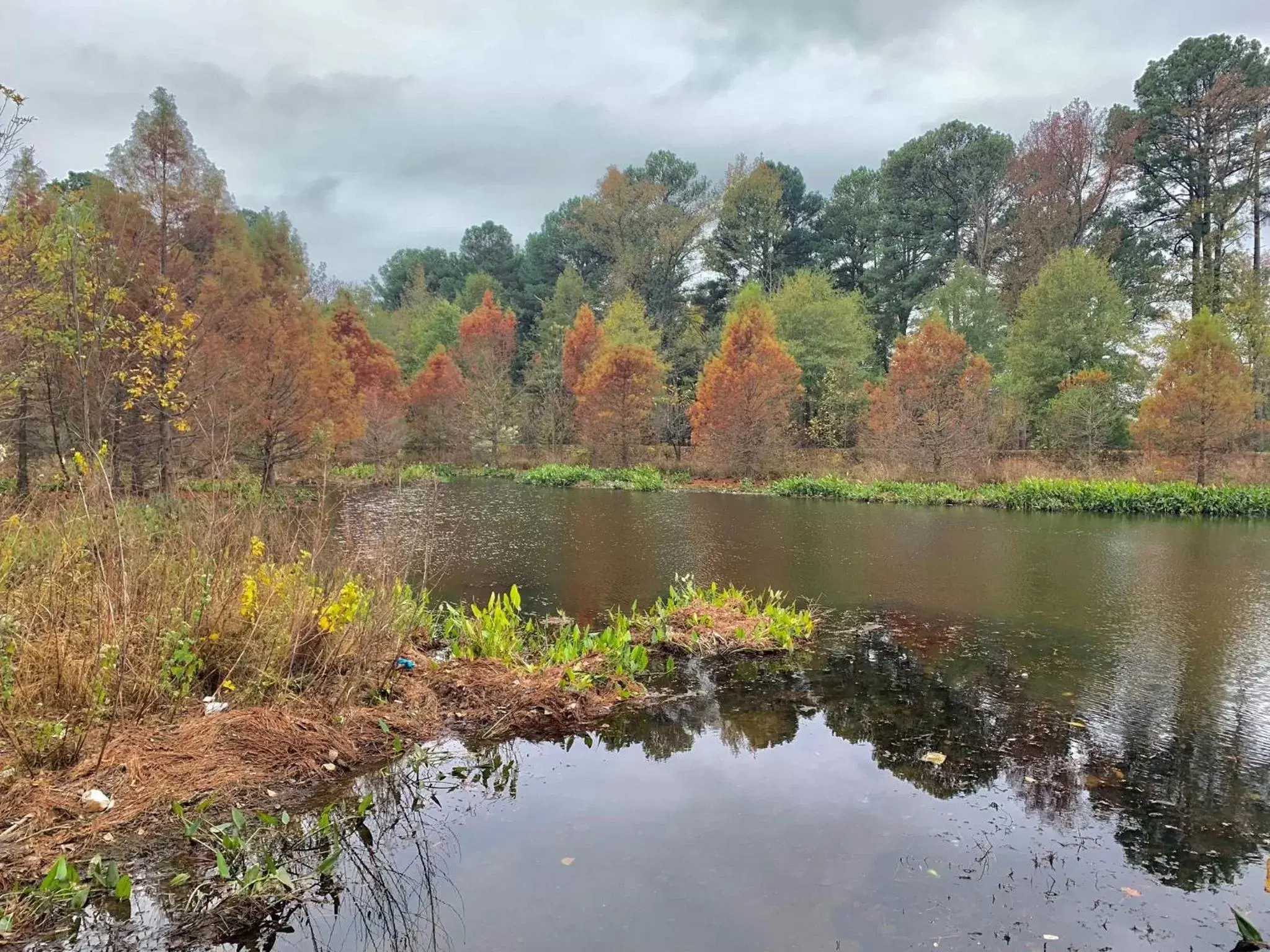 Nearby landmark, Natural Landscape in Candlewood Suites Conway, an IHG Hotel