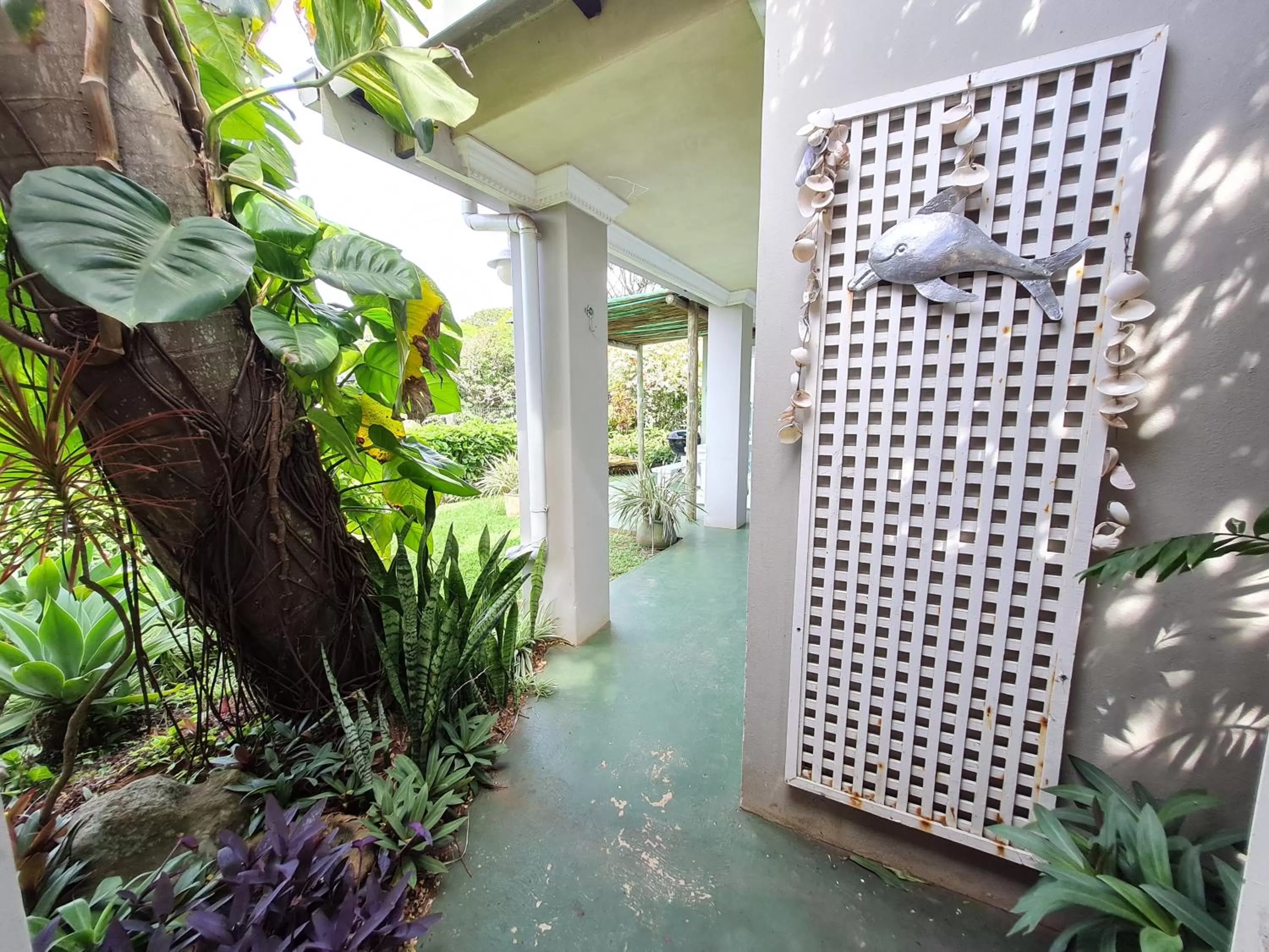 Garden in Shaka's Seat Guesthouse